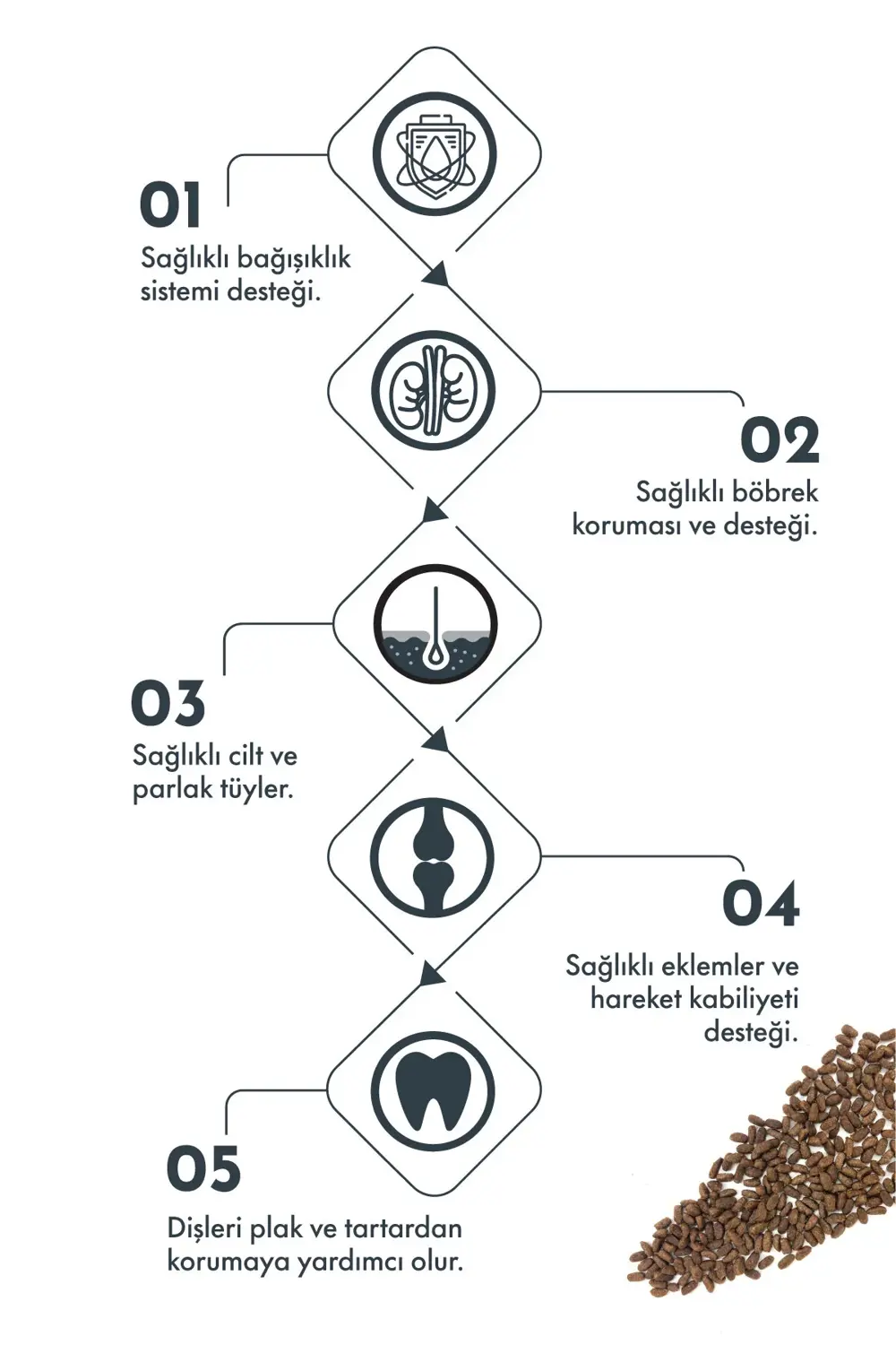 Pro Performance (Küçük İrk Yetişkin)