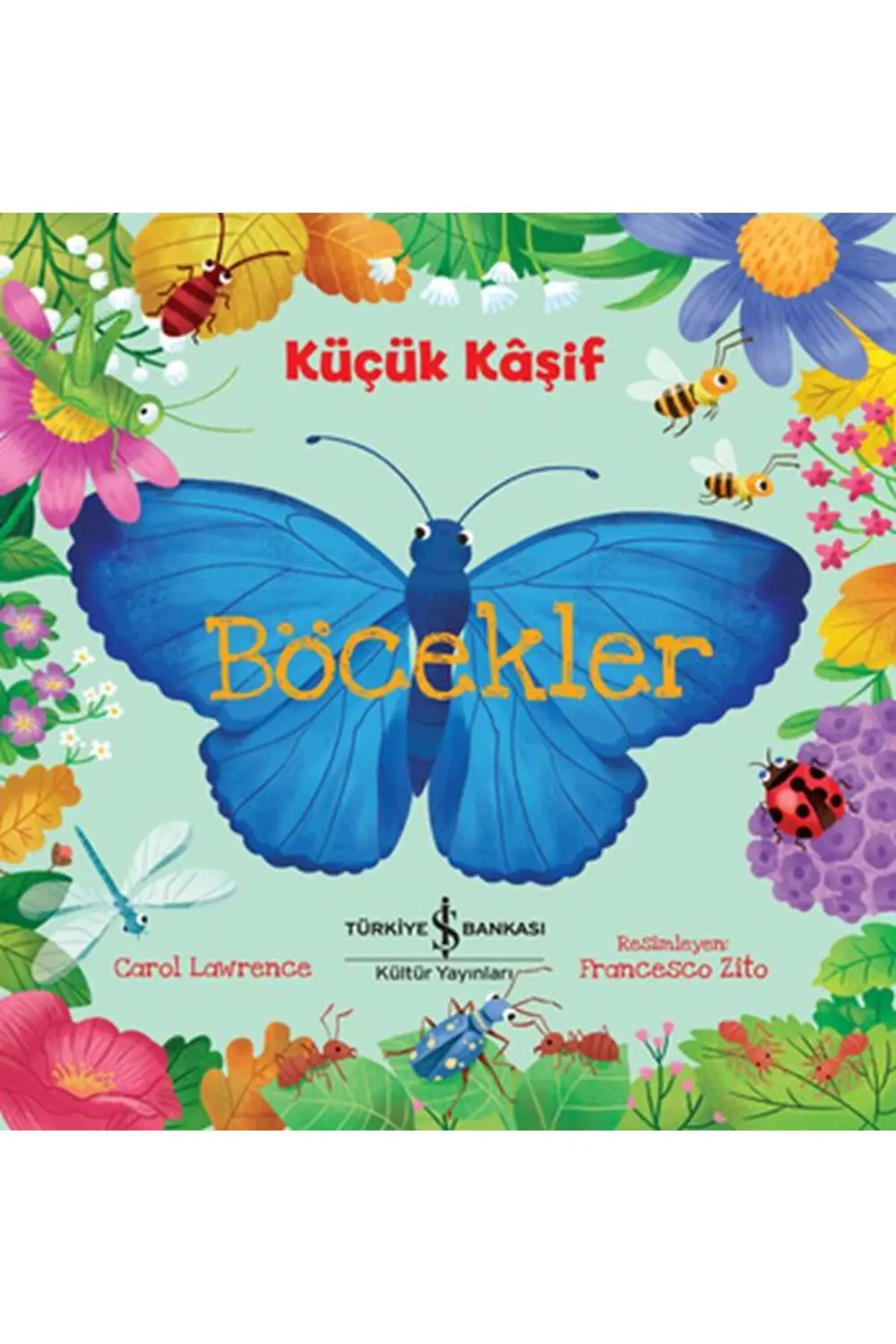 Küçük Kaşif - Böcekler