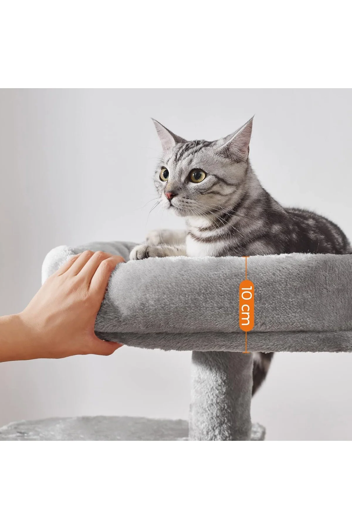 Küçük Kedi Ağacı Tırmalama Direği Çok Katlı 68 cm, Açık Gri