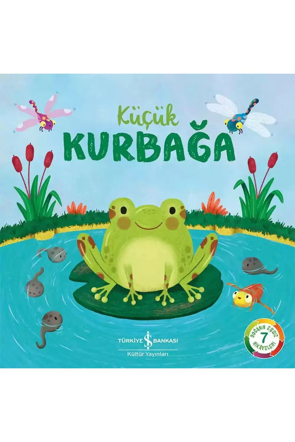 Küçük Kurbağa – Doğanın Eşsiz Hikâyeleri 7 (4+ Yaş)