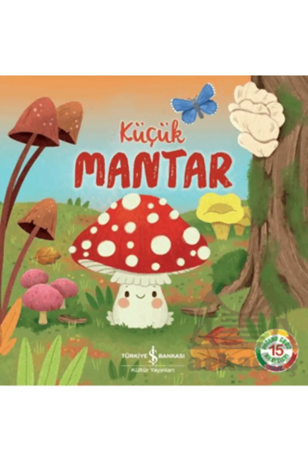 Küçük Mantar