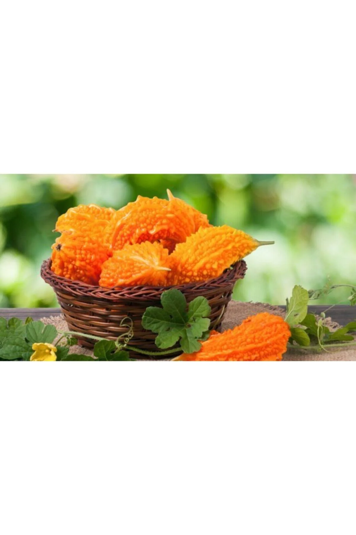 Kudret Narı Zeytinyağlı 300 gr Macun - Görsel 4