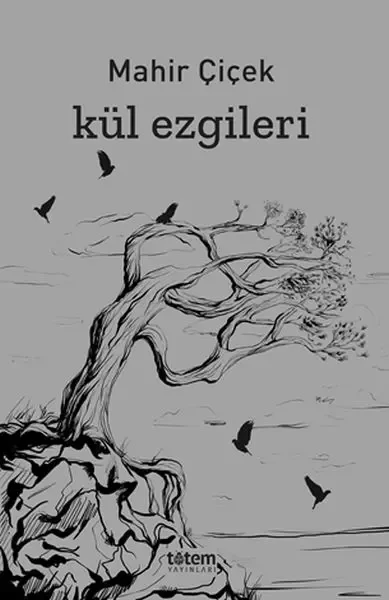 Kül Ezgileri Fiyatı, Yorumları ve Özellikleri