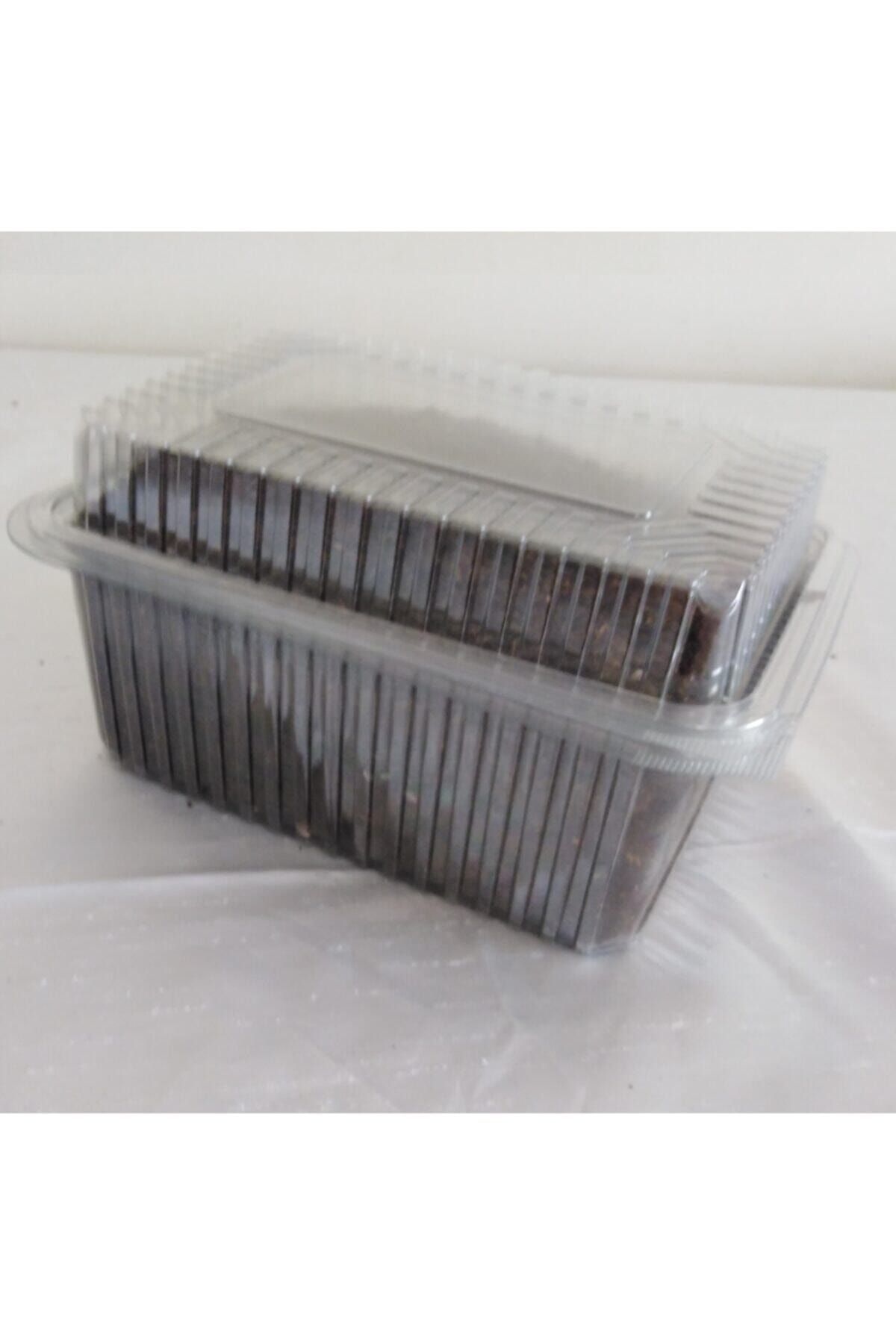 Tohumgübre Külltür Mantarı Tohumu Ekili Kutu Ve Eğitim Kılavuzu