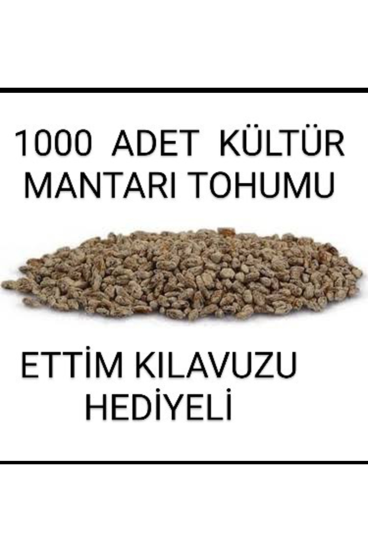 1000 Adet Kültür Mantarı Tohumu + Hediye Üzüm Fidanı Tohumları
