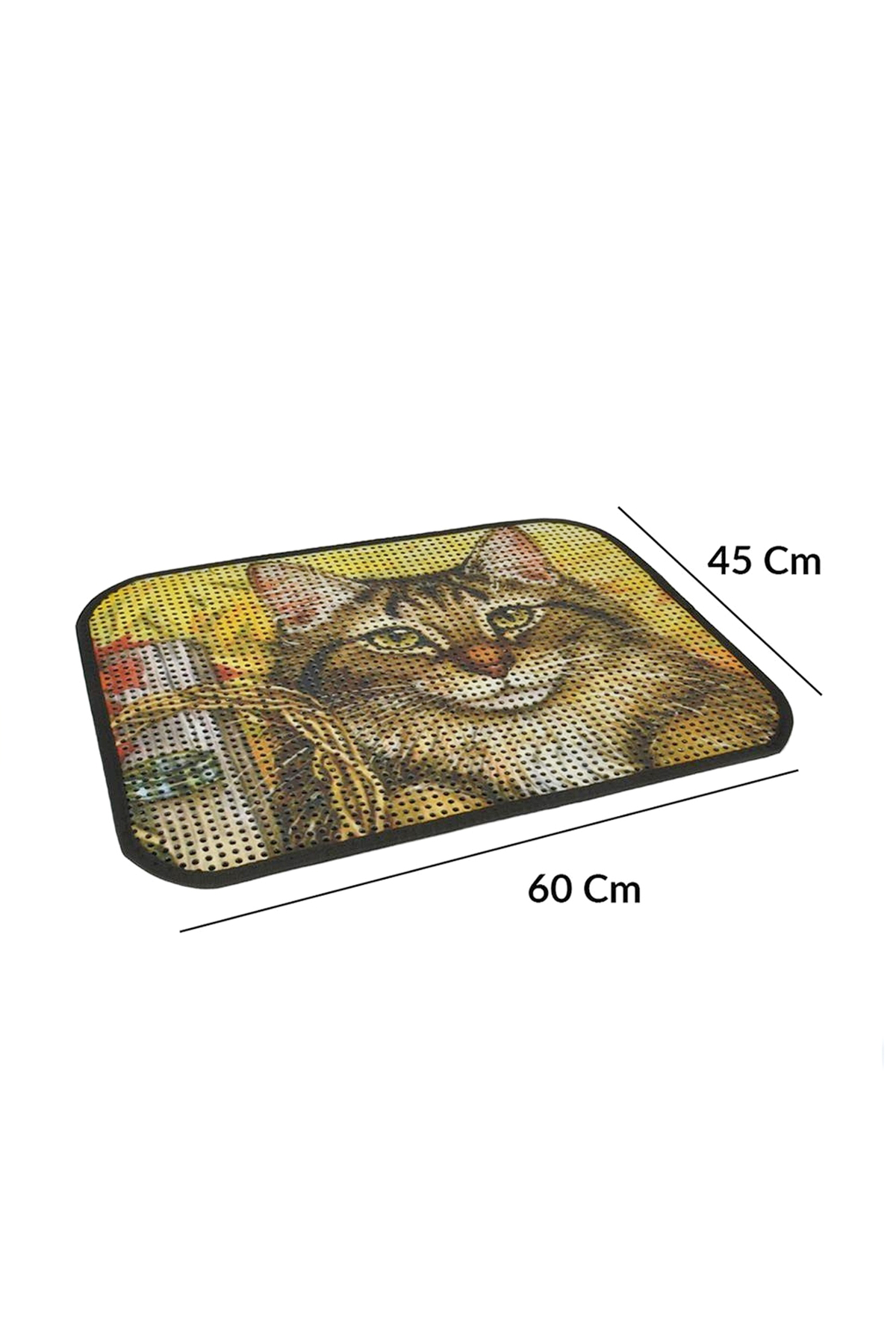 Kum Toplayıcı Fonksiyonel Renkli Kedi Paspası 45 X 60 Cm