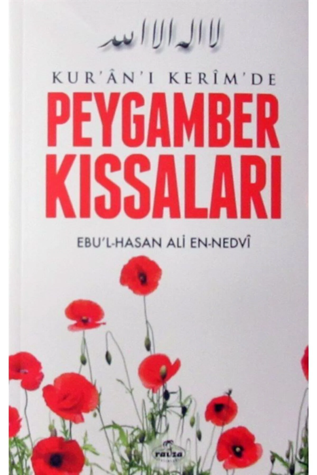 Kur'an-ı Kerim'de Peygamber Kıssaları