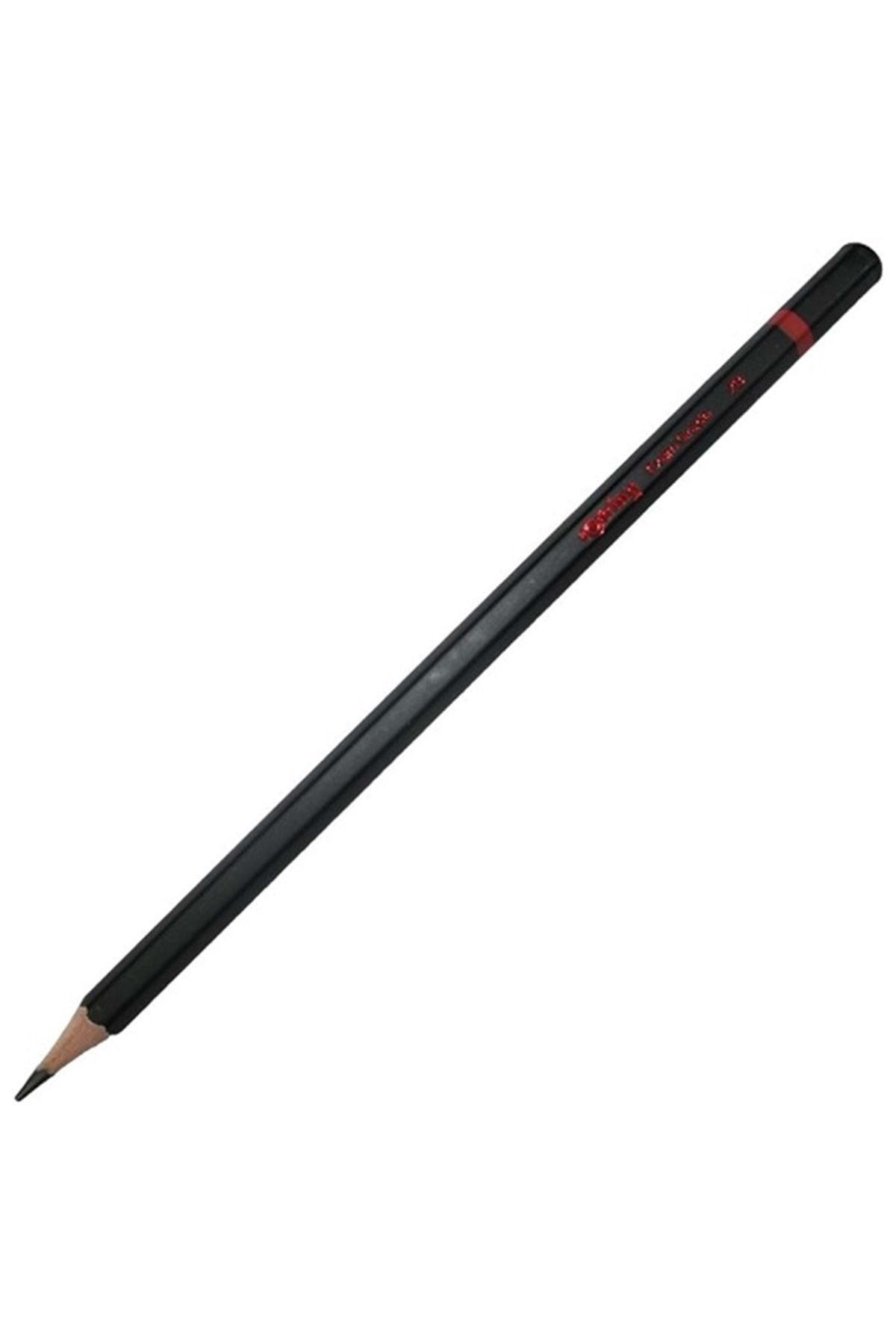 Rotring Kurşun Kalem Sınav 2B 2090068 - 3026980900687