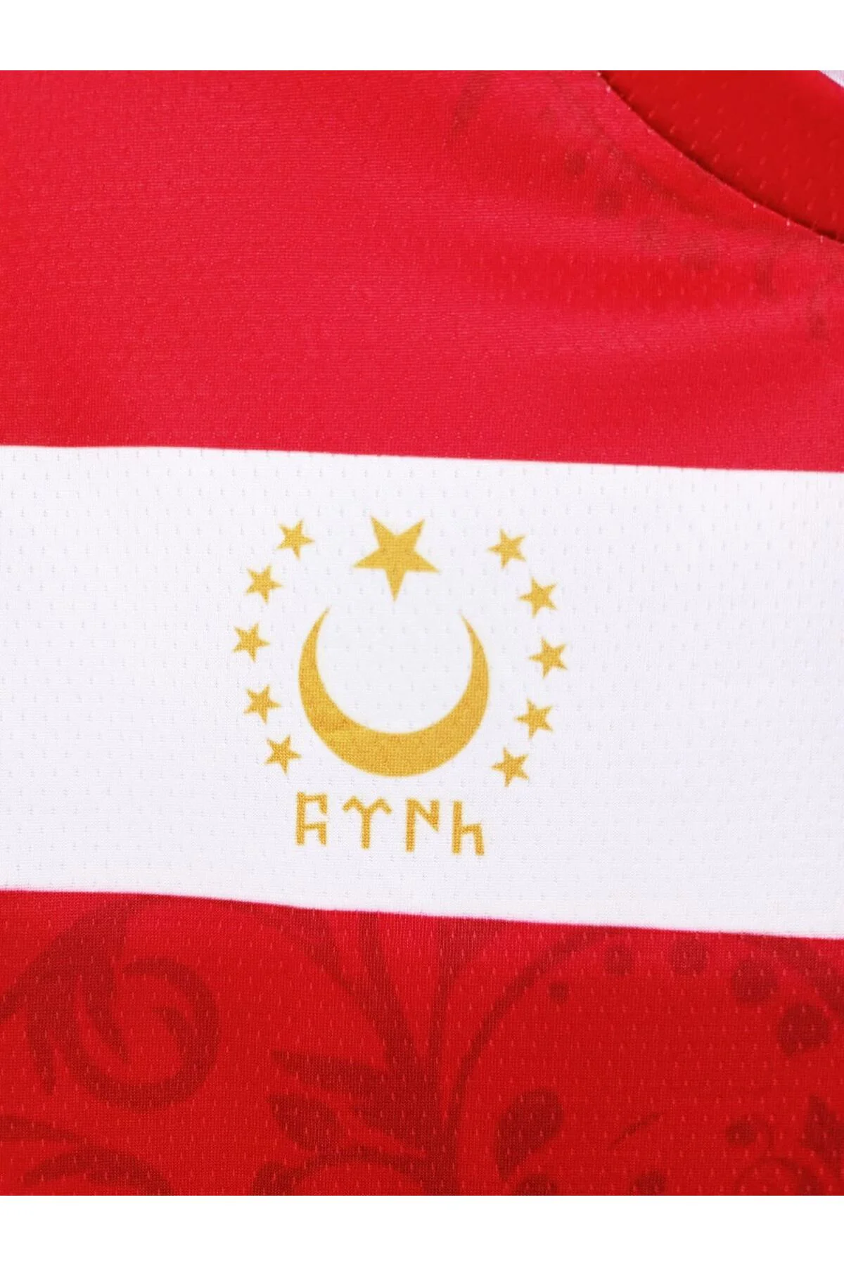 Kurt Motifli Yeni Nesil Türkiye Forma Takımı K0168 (Tek Kelime İs