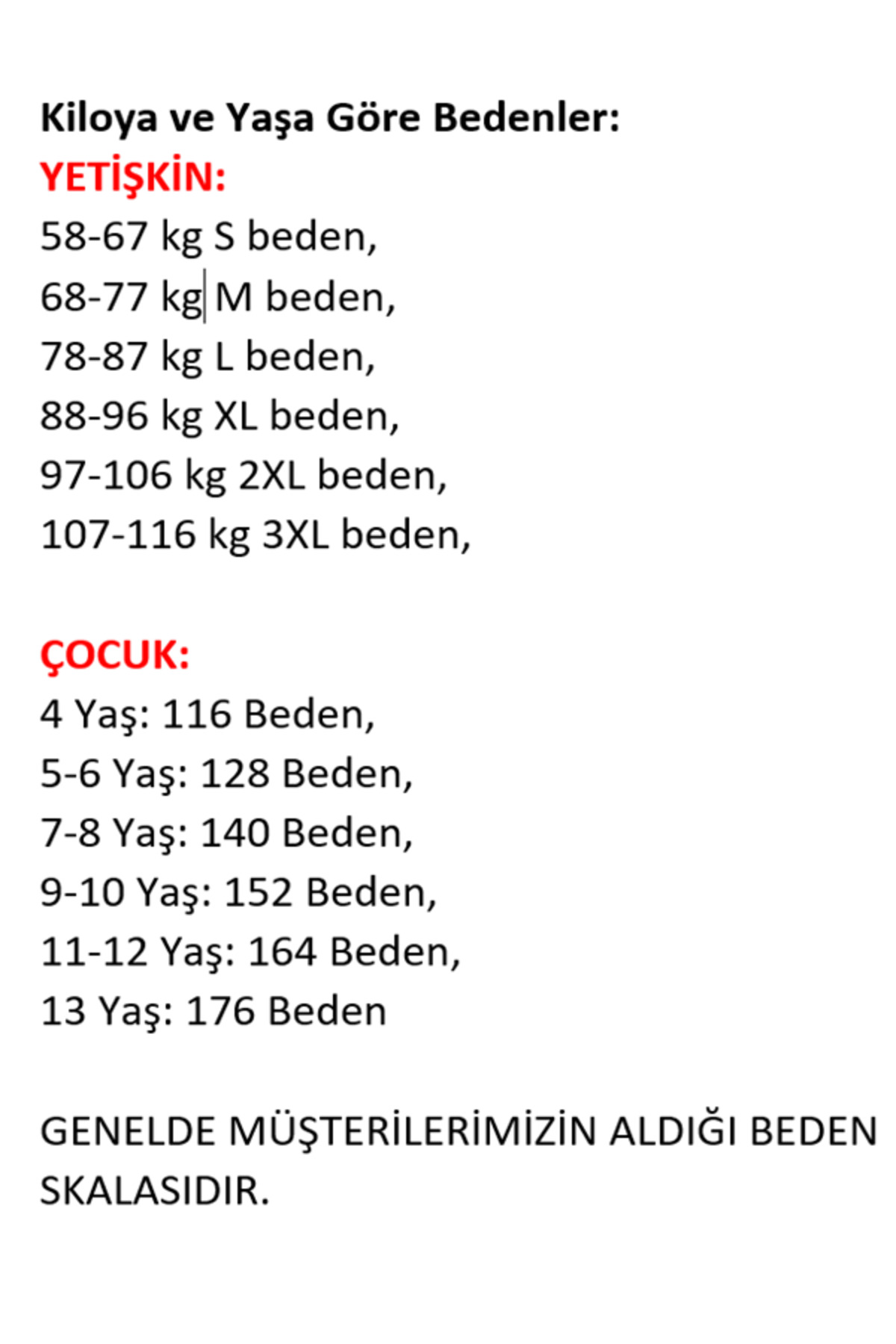 Sportech Kurt Motifli Yeni Nesil Türkiye-Azerbaycan Forma Takımı K0169 (Te