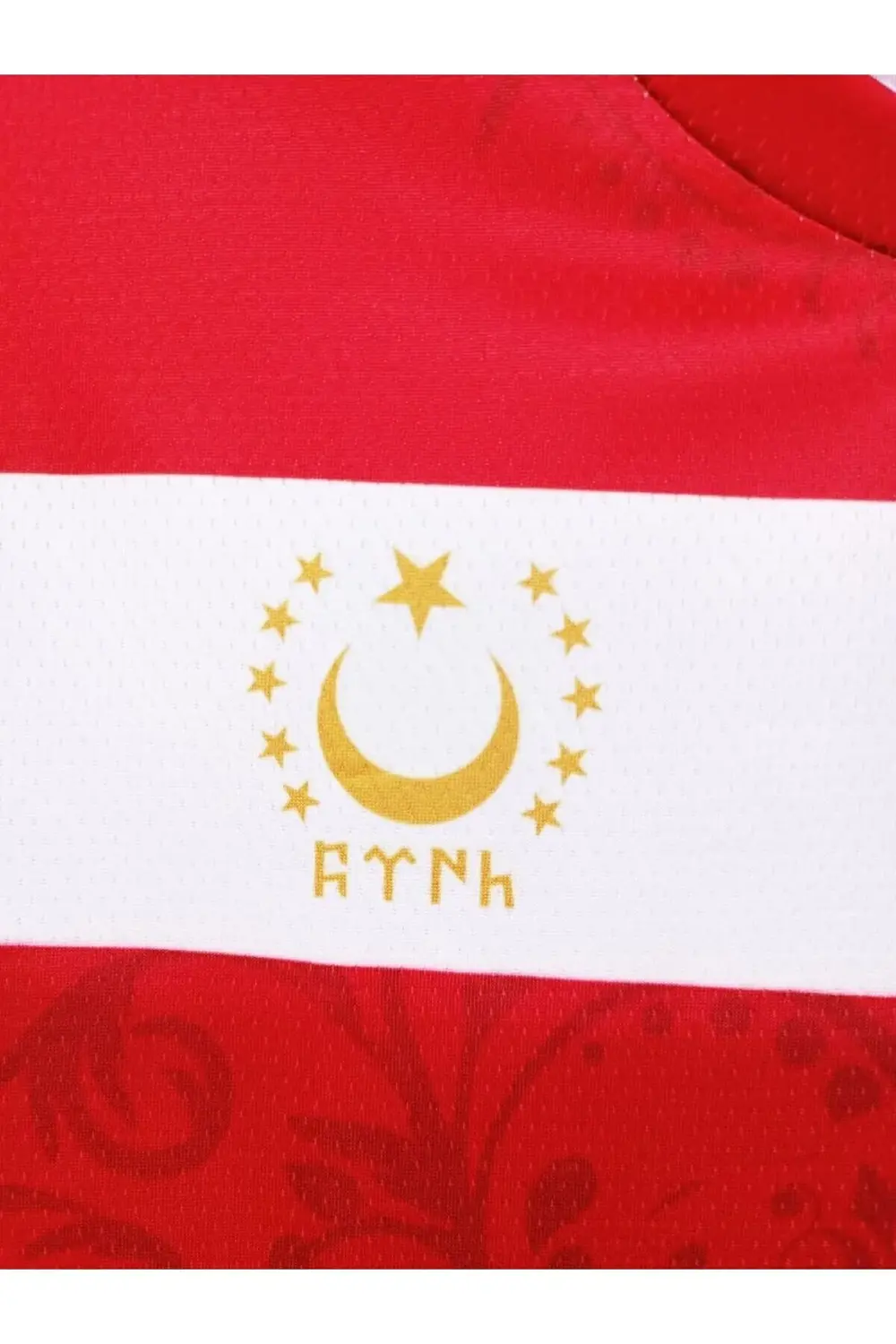 Kurt Motifli Yeni Nesil Türkiye Forması TEK ÜST  K0172 (Tek Kelim