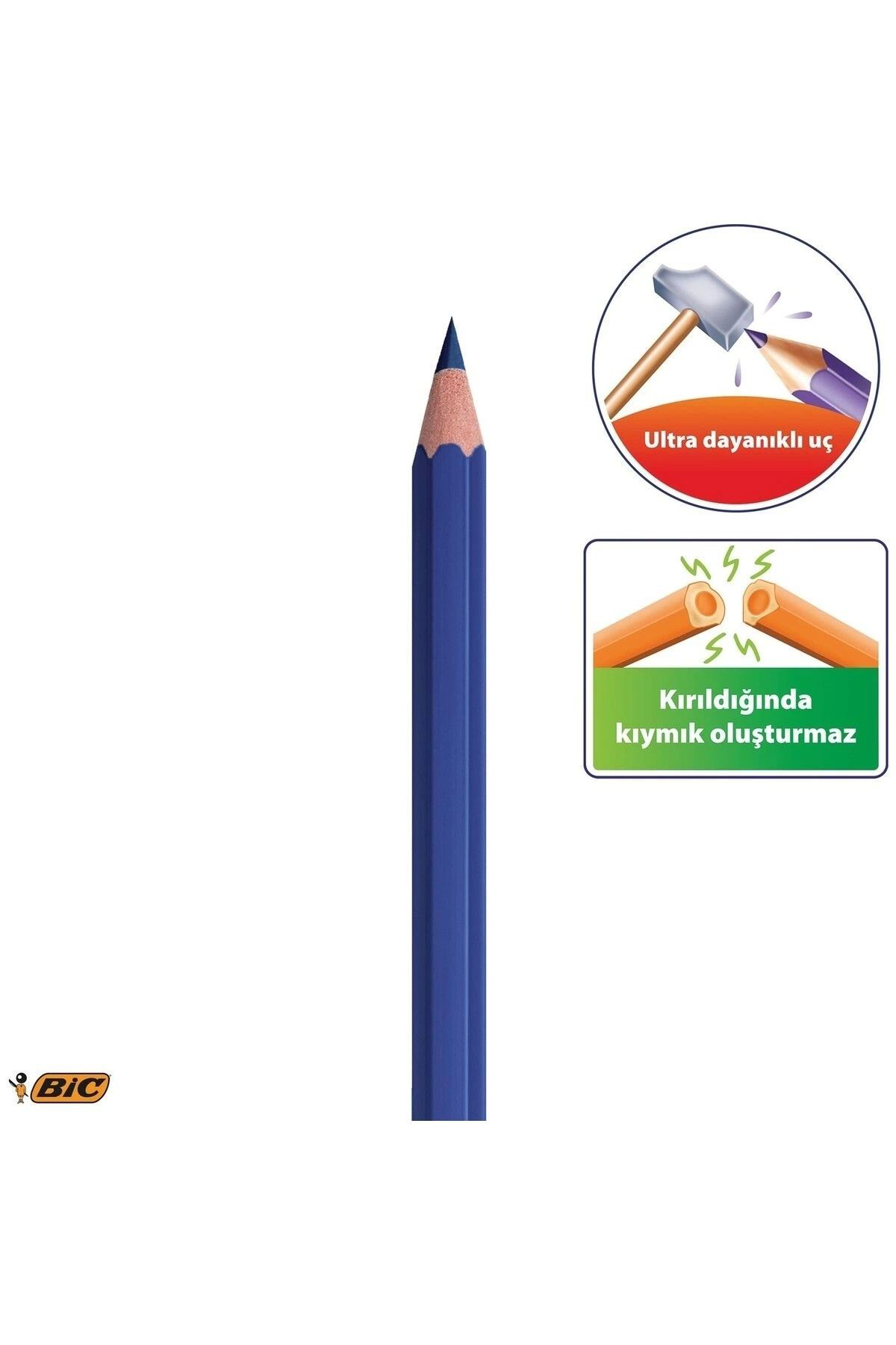 Bic Kuru Boya Kalemi Unisex Çocuk Kids Evolution 24 Renk