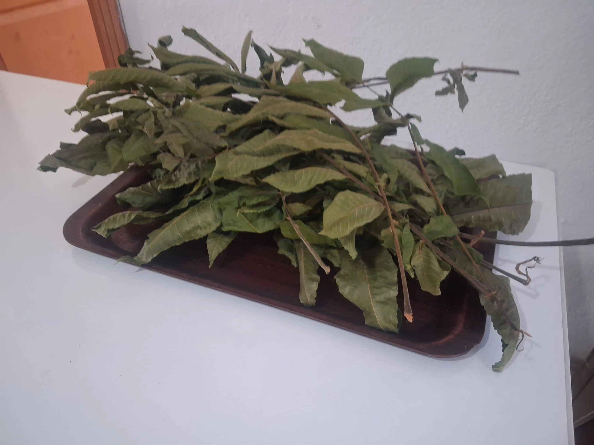 Kuru Ceviz Yaprak 90692 Özel Gölge Kurutma Organik Doğal 100 Gram