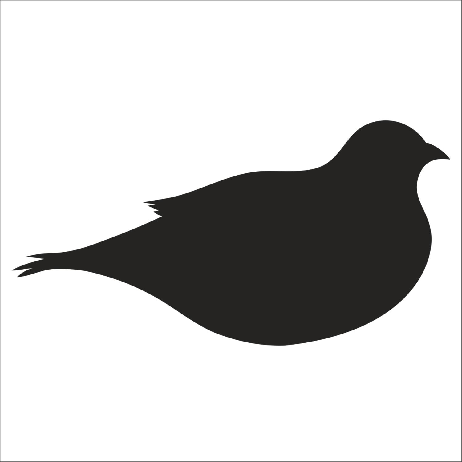 Technopa Kuş Folyo Sticker Derstv923