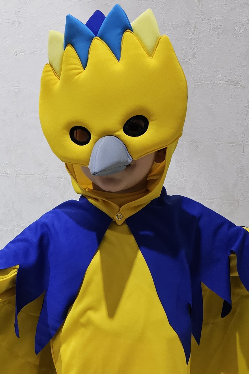 Kuş Kostümü | Kanarya Kostümü