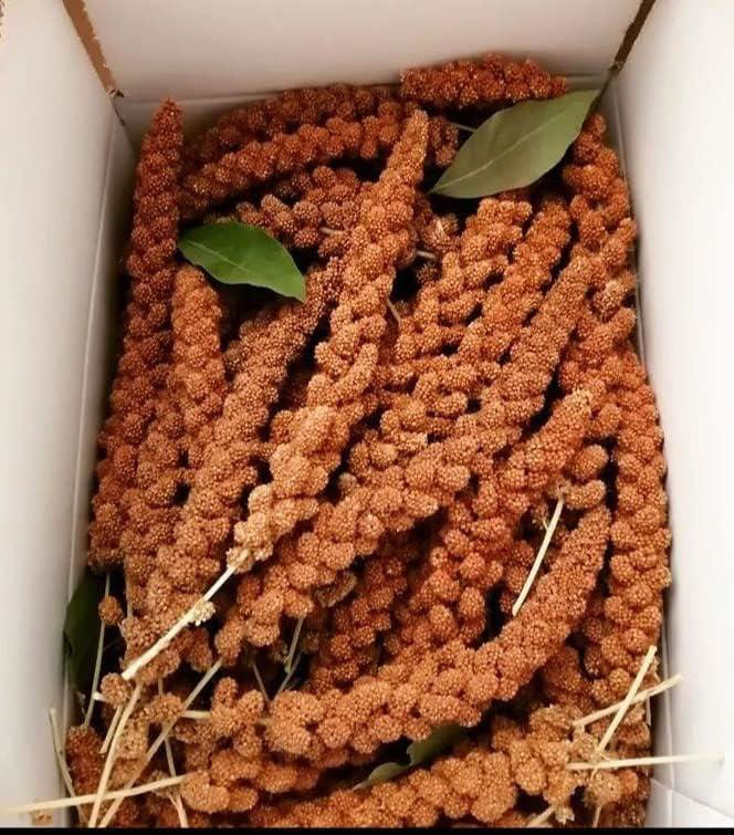 Kuşlar İçin Kızıl Dal Darı 150 gr