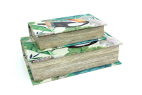 Kutu Kitap Tukan 2'li Set Dekoratif Hediyelik