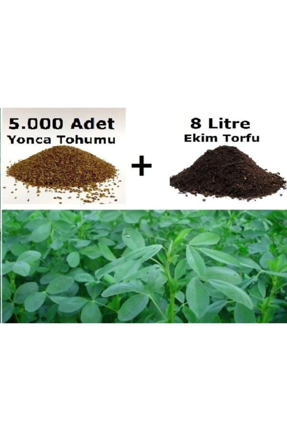 Kutuda 5000 Adet Yonca Tohumu Ve 8 Litre Ekim Torfu + Hediye Üzüm