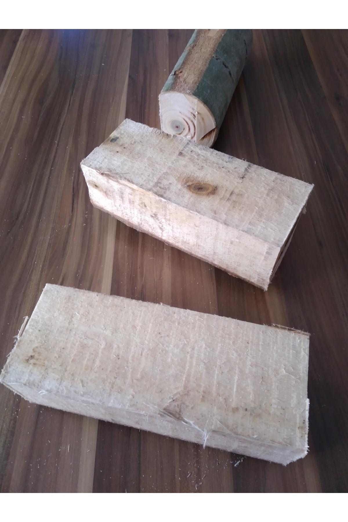 Kütükte İstiridye Mantarı Deneme Hobi Kiti