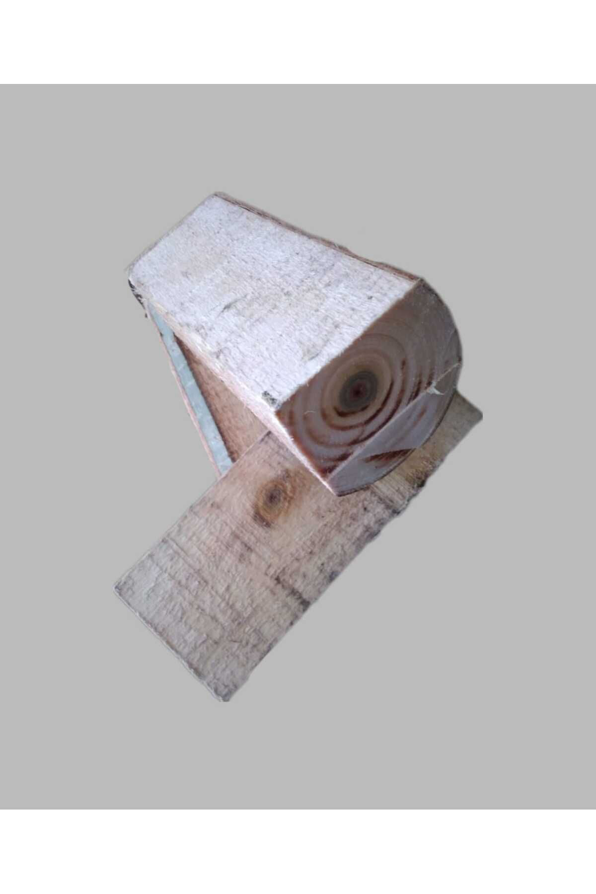 Kütükte İstiridye Mantarı Deneme Hobi Kiti