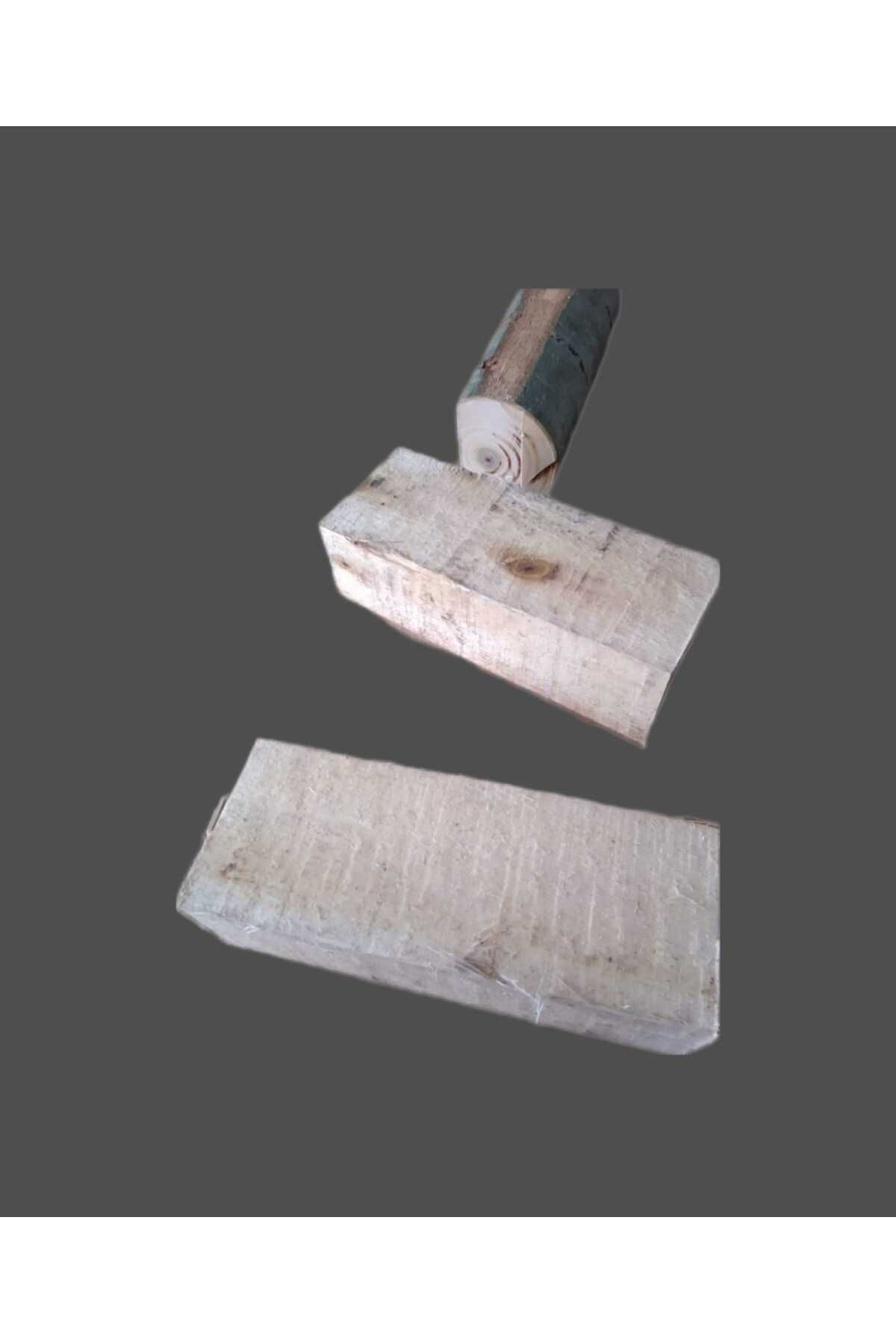 Kütükte İstiridye Mantarı Deneme Hobi Kiti