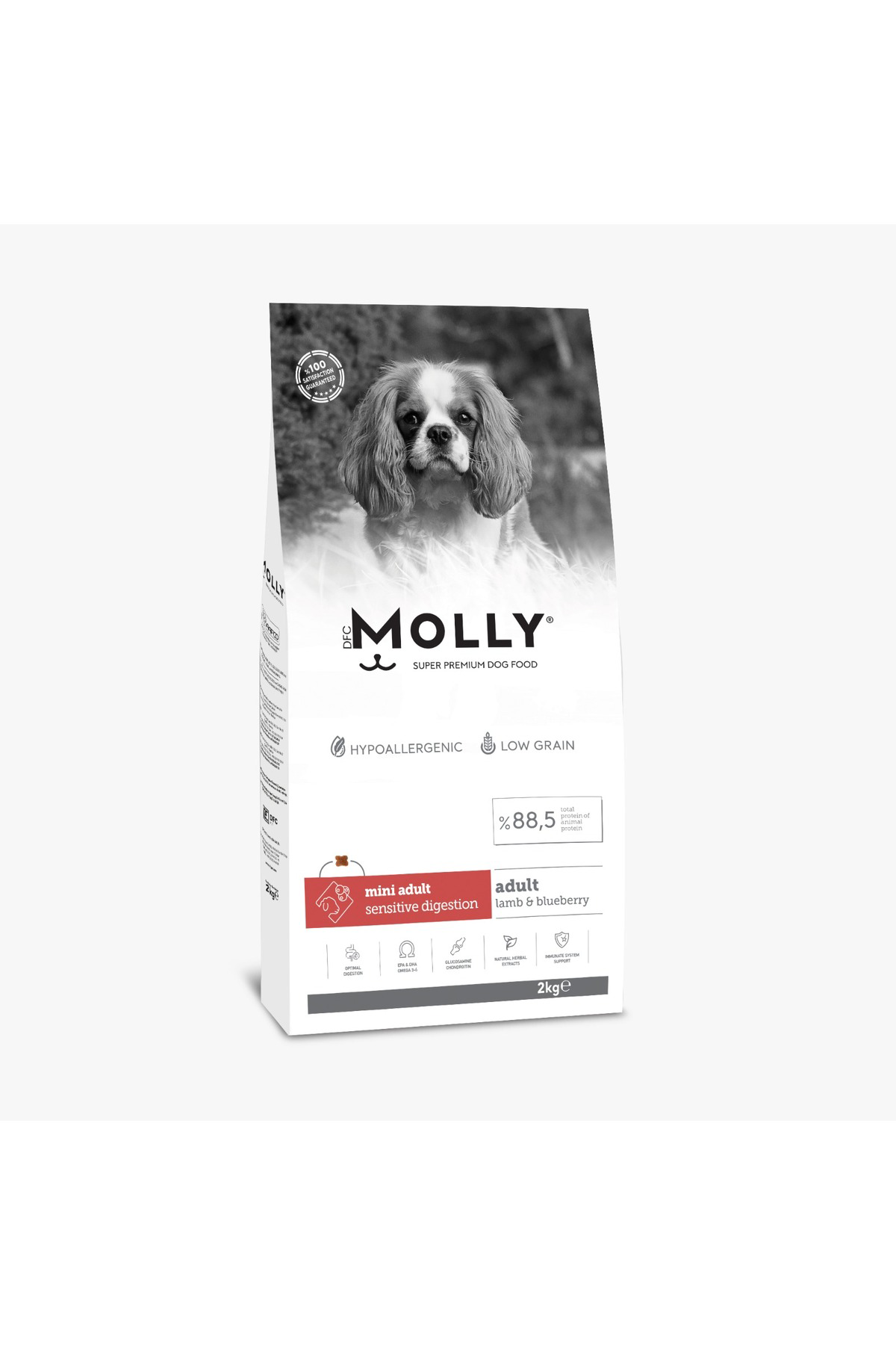 Molly Kuzu Etli Yaban Mersinli Yetişkin Küçük İrk 2 Kg Köpek Maması