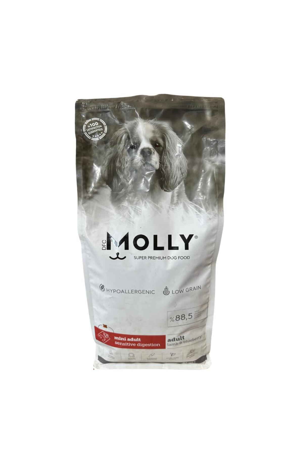 Molly Kuzu Etli Yaban Mersinli Yetişkin Küçük İrk 2 Kg Köpek Maması