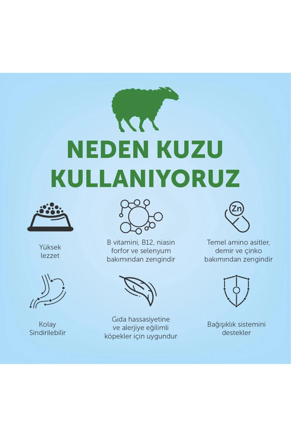 Kuzulu Küçük Irk Yetişkin Köpek Maması 2 Kg