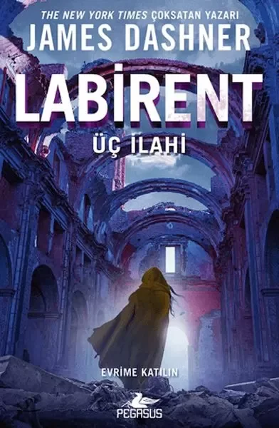 Labirent (3 Yaş)