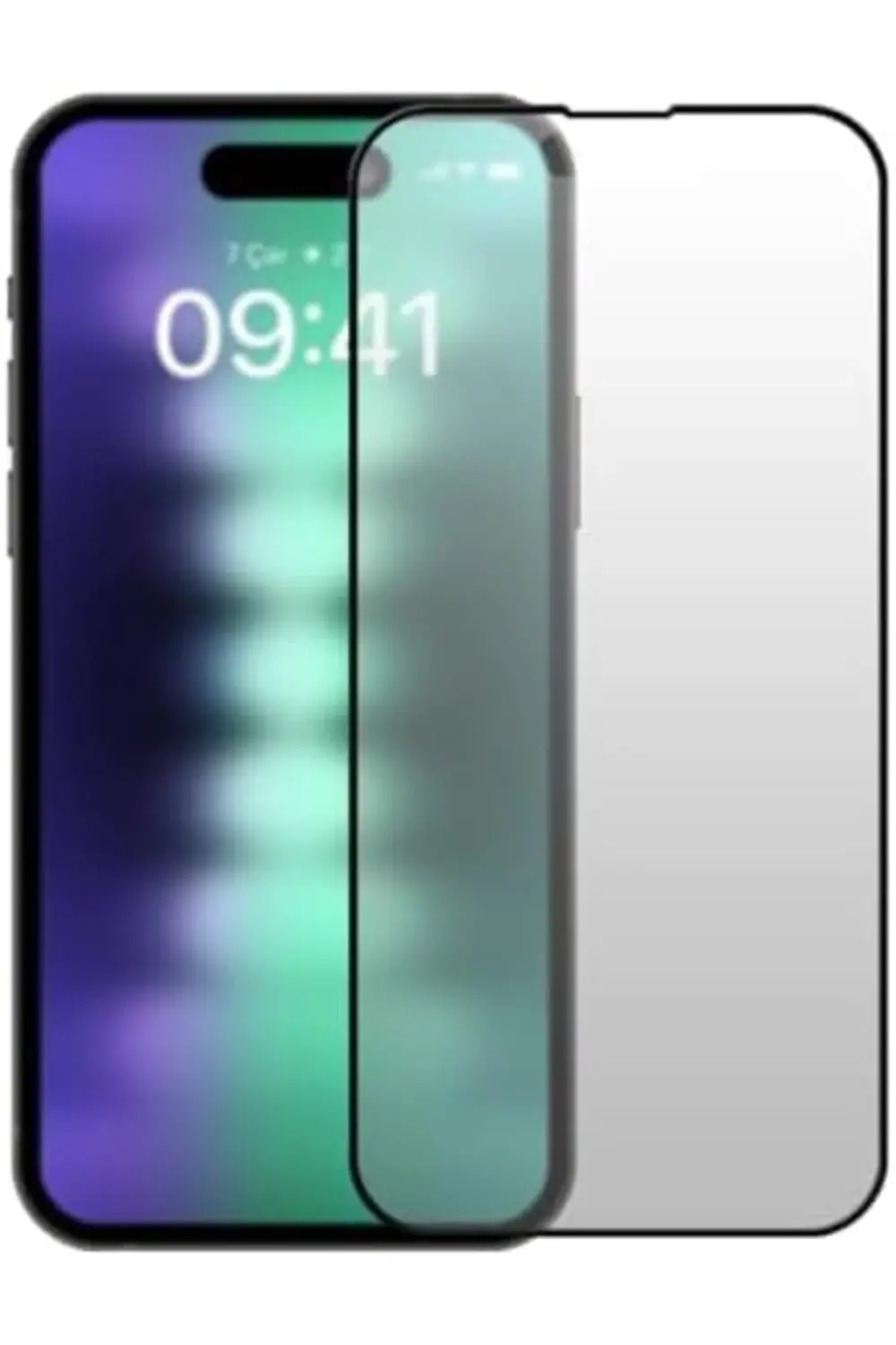 LABS 15 ile Uyumlu 5D Mat Ekran 1157054