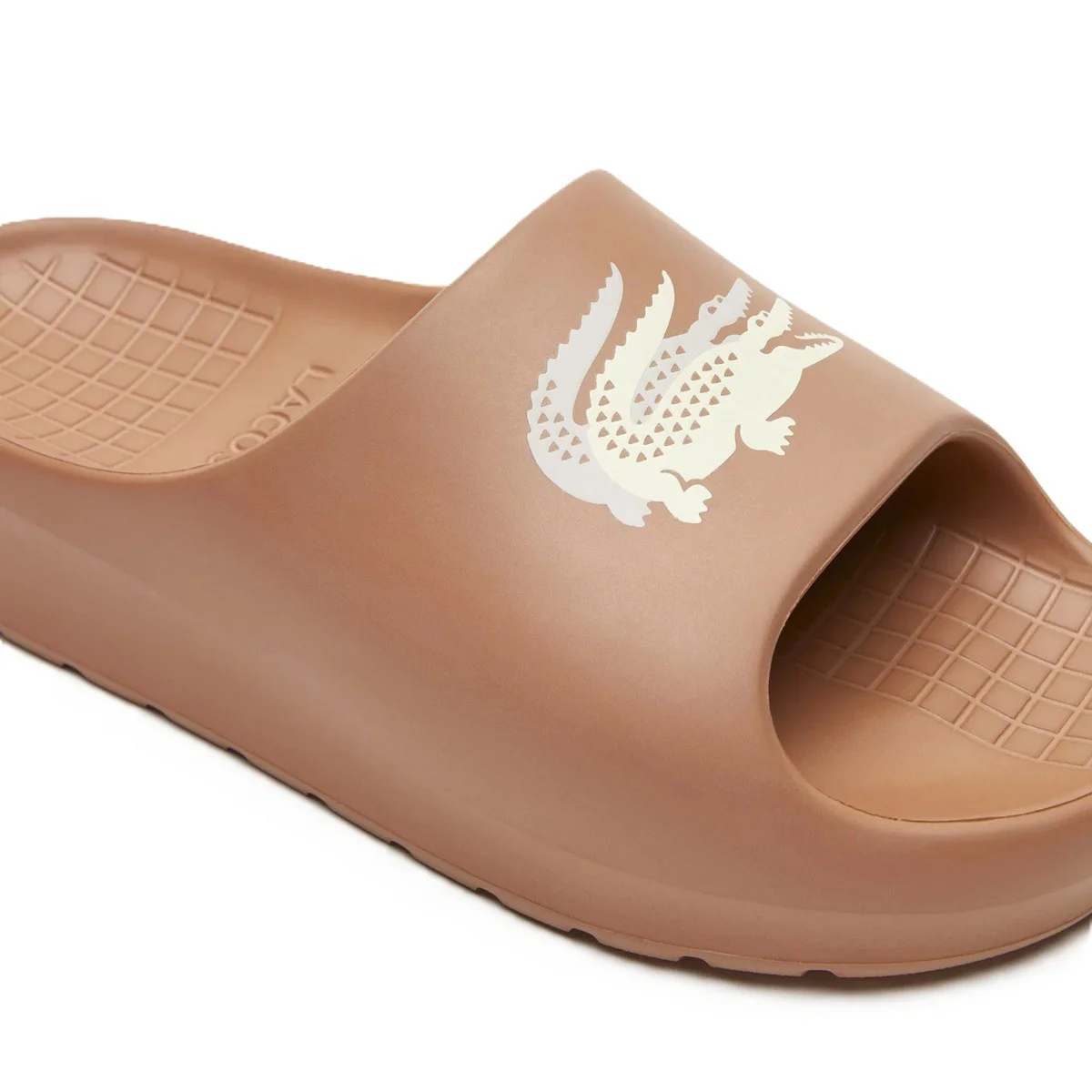 Lacoste Croco 2.0 Evo Kadın Terlik Kahverengi Fiyatı, Yorumları ve Özellikleri