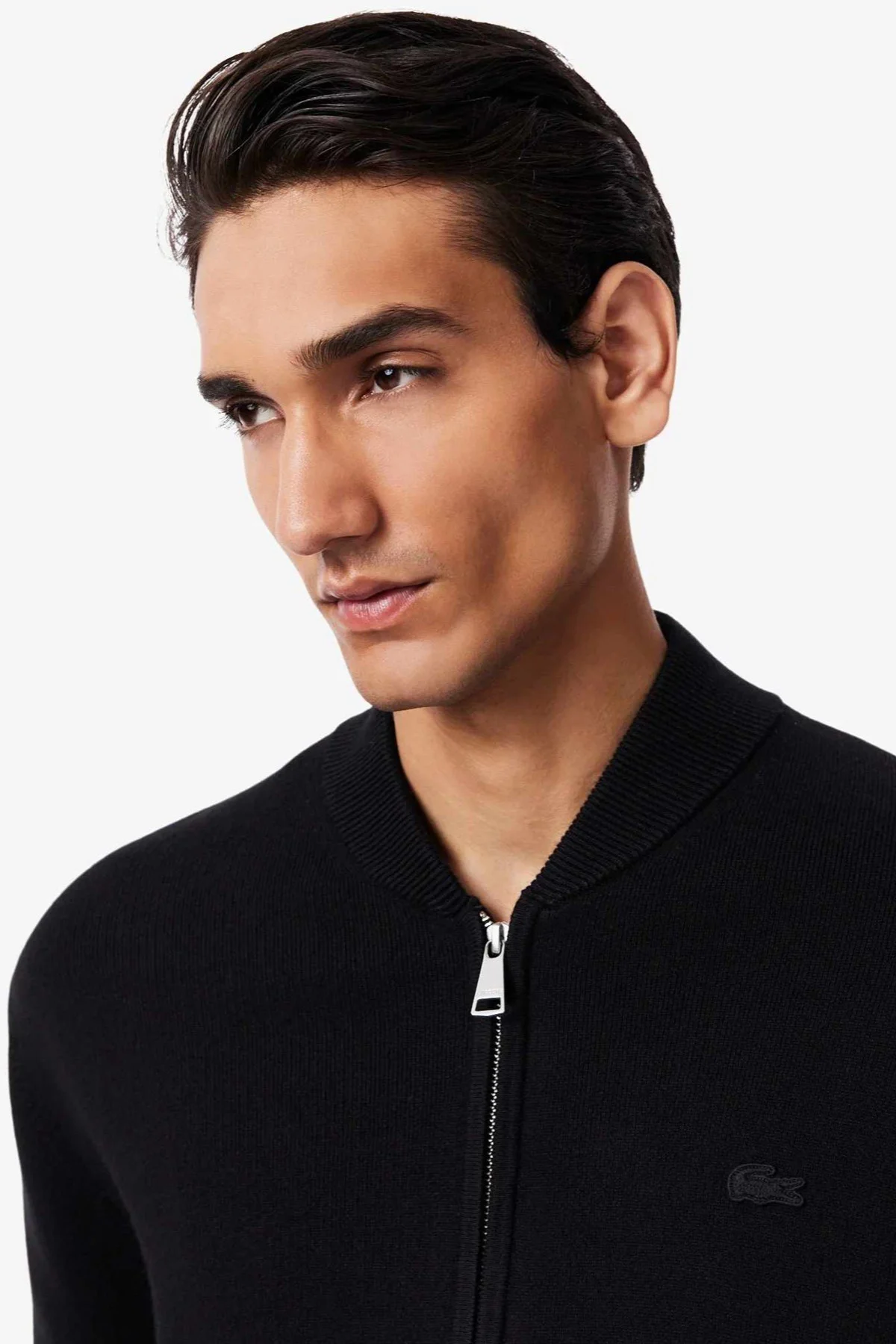 Lacoste Erkek Classic Fit Fermuarlı Kolej Yaka Pamuklu Yünlü Kalın Hırka Siyah Lacoste Erkek Classic Fit Fermuarlı Kolej Yaka Pamuklu Yünlü Kalın Hırka Siyah