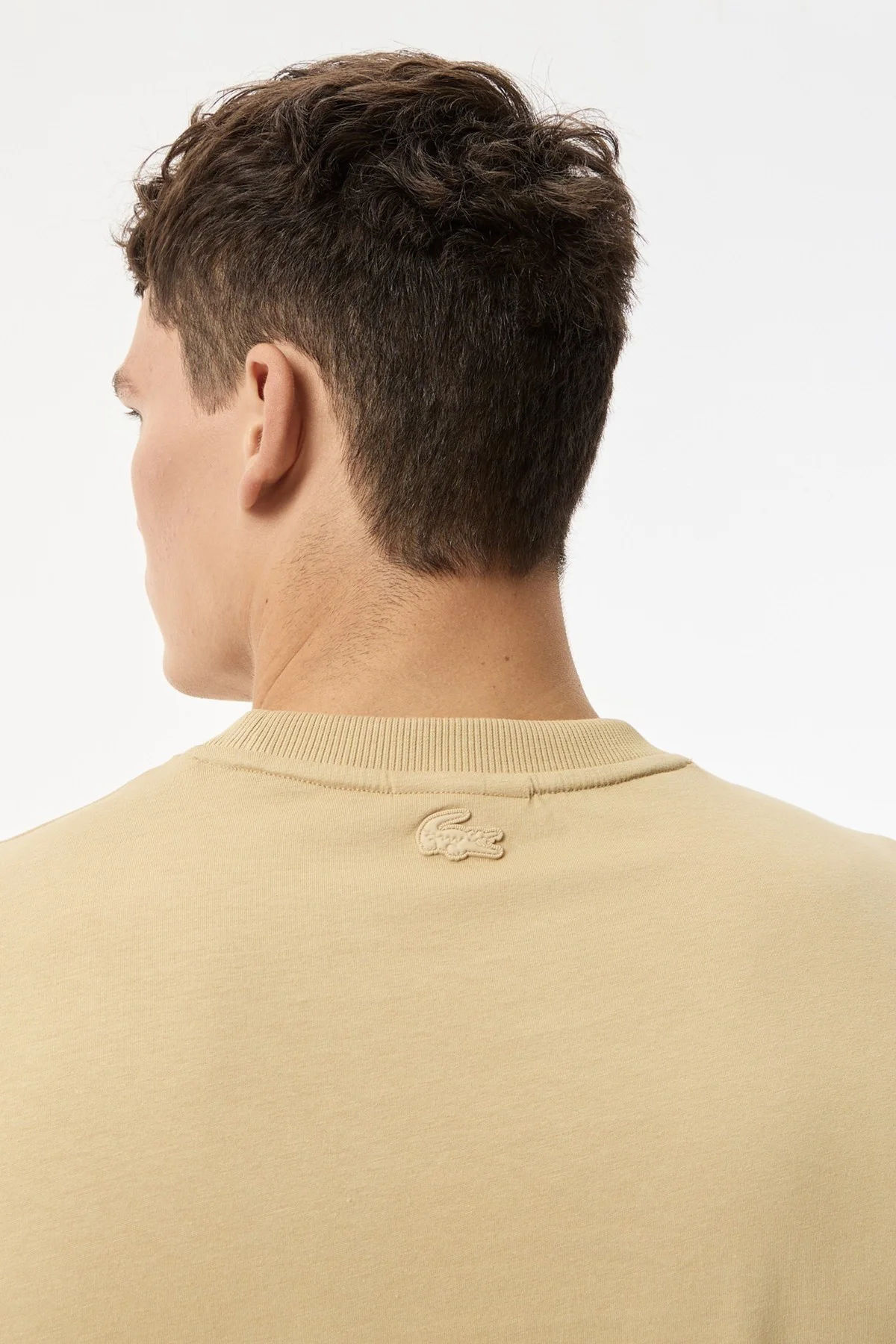 Lacoste Men's Regular Fit Tshirt Pamuklu Bisiklet Yaka Erkek Tişört Bej Fiyatı, Yorumları ve Özellikleri