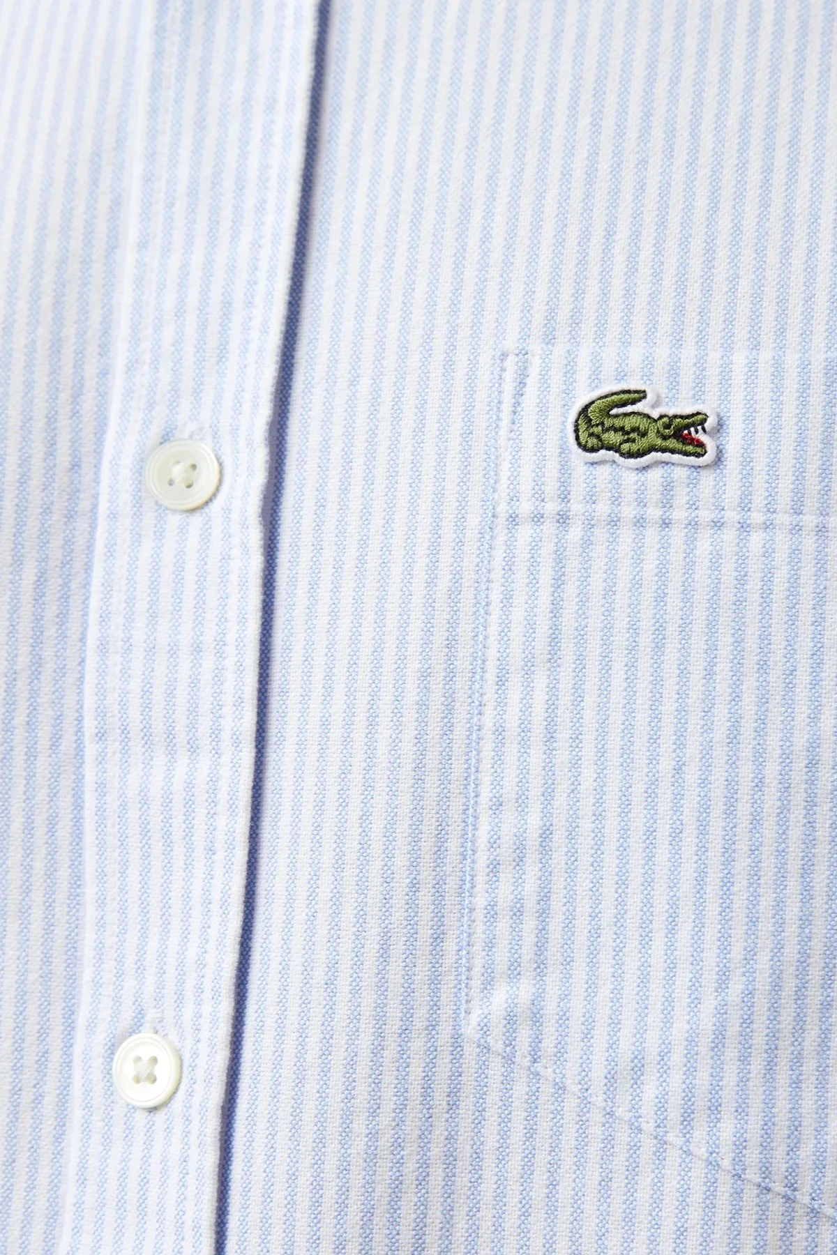 Lacoste Men's Regular Fit Shirt Organik Pamuk Çizgili Erkek Gömlek Açık Mavi