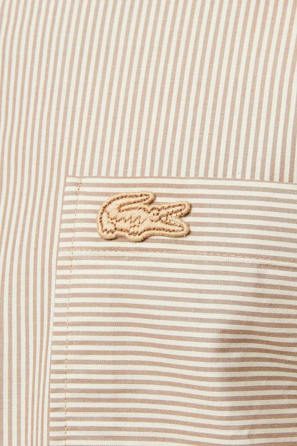 Lacoste Men's Regular Fit Beige Shirt Normal Kesim Erkek Gömlek Bej Lacoste Men's Regular Fit Beige Shirt Normal Kesim Erkek Gömlek Bej Fiyatı, Yorumları ve Özellikleri