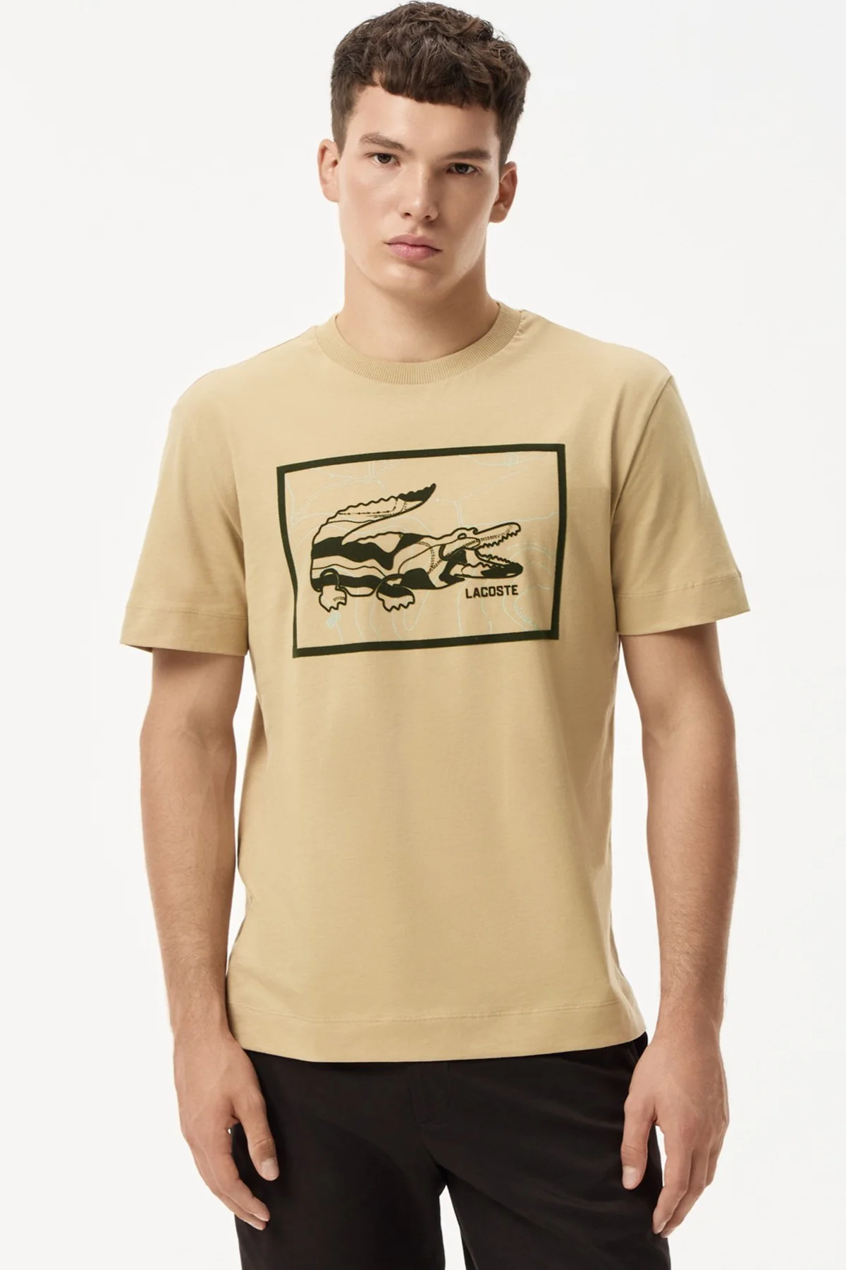 Lacoste Men's Regular Fit Tshirt Pamuklu Bisiklet Yaka Erkek Tişört Bej Fiyatı, Yorumları ve Özellikleri