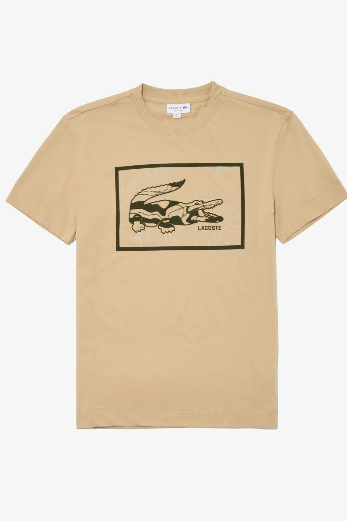 Lacoste Men's Regular Fit Tshirt Pamuklu Bisiklet Yaka Erkek Tişört Bej Fiyatı, Yorumları ve Özellikleri