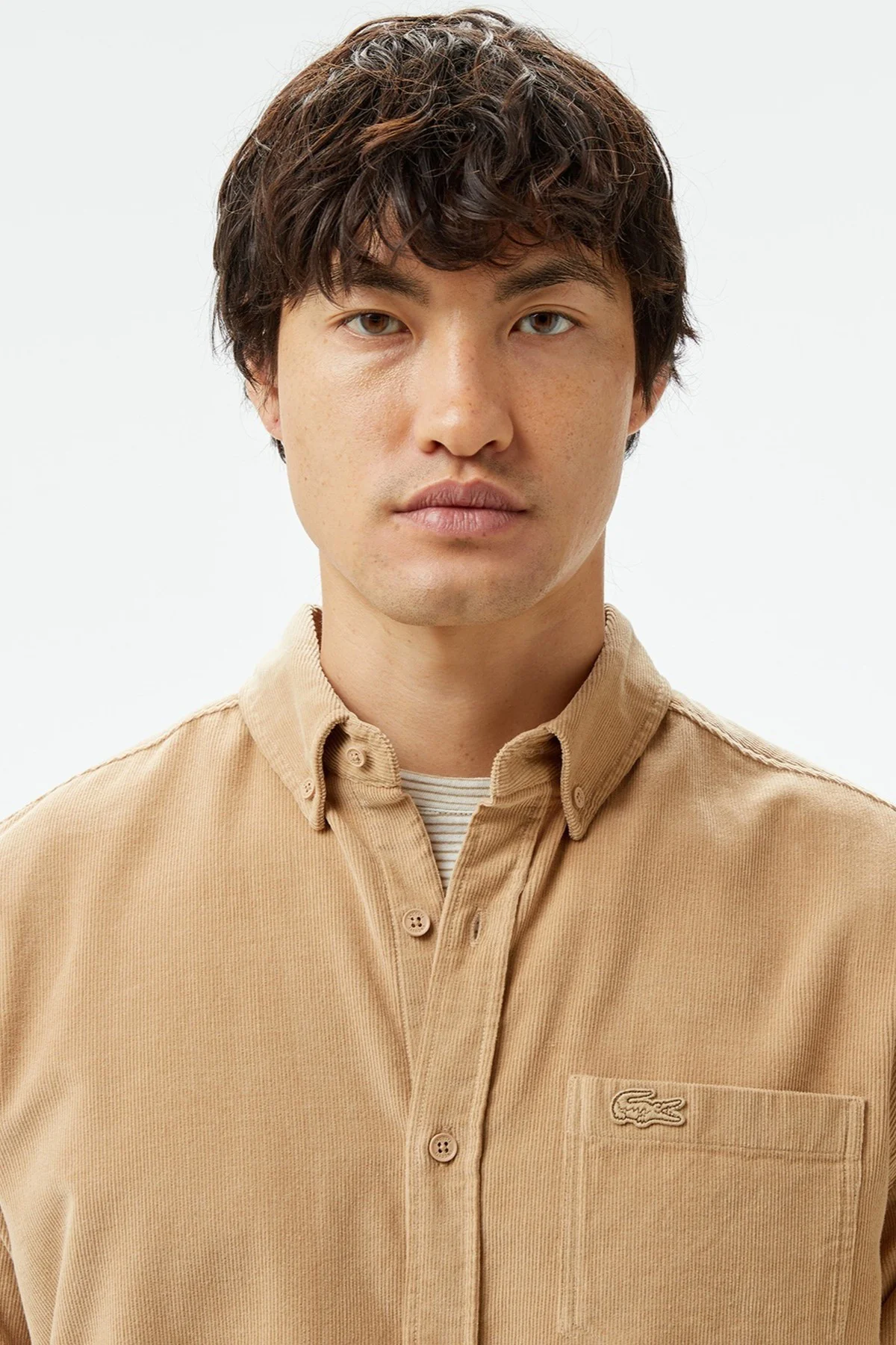 Lacoste Men's Regular Fit Button-Down Collar Velvet Shirt Brown Erkek Düğmeli Yaka Kadife Gömlek Kahverengi Fiyatı, Yorumları ve Özellikleri