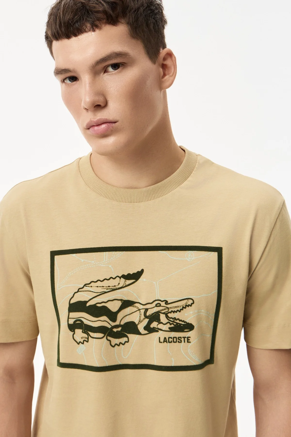 Lacoste Men's Regular Fit Tshirt Pamuklu Bisiklet Yaka Erkek Tişört Bej Fiyatı, Yorumları ve Özellikleri