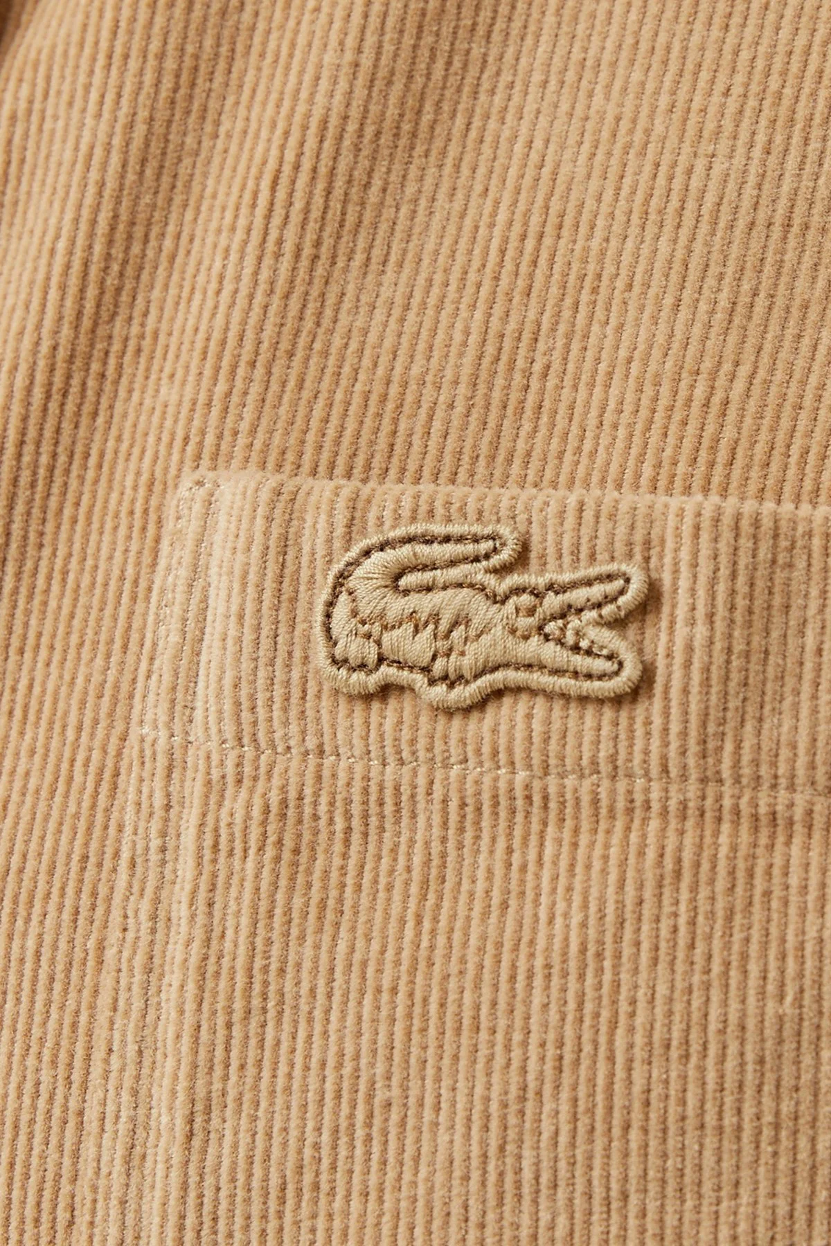 Lacoste Men's Regular Fit Button-Down Collar Velvet Shirt Brown Erkek Düğmeli Yaka Kadife Gömlek Kahverengi Fiyatı, Yorumları ve Özellikleri