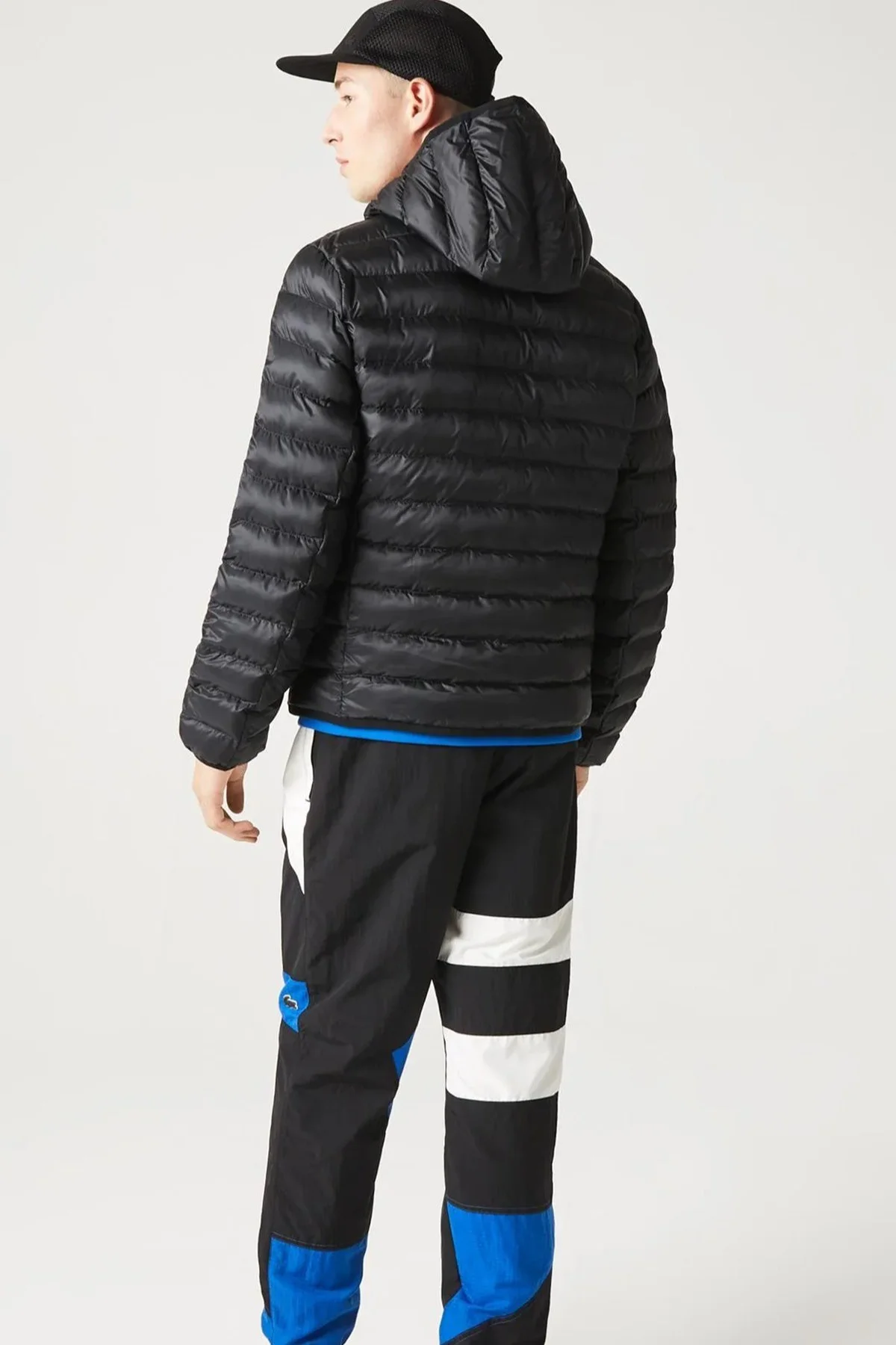 Lacoste Syntehic Fill Jacket Sabit Kapüşonlu Erkek Şişme Mont Lacivert Lacoste Syntehic Fill Jacket Sabit Kapüşonlu Erkek Şişme Mont Lacivert Fiyatı, Yorumları ve Özellikleri