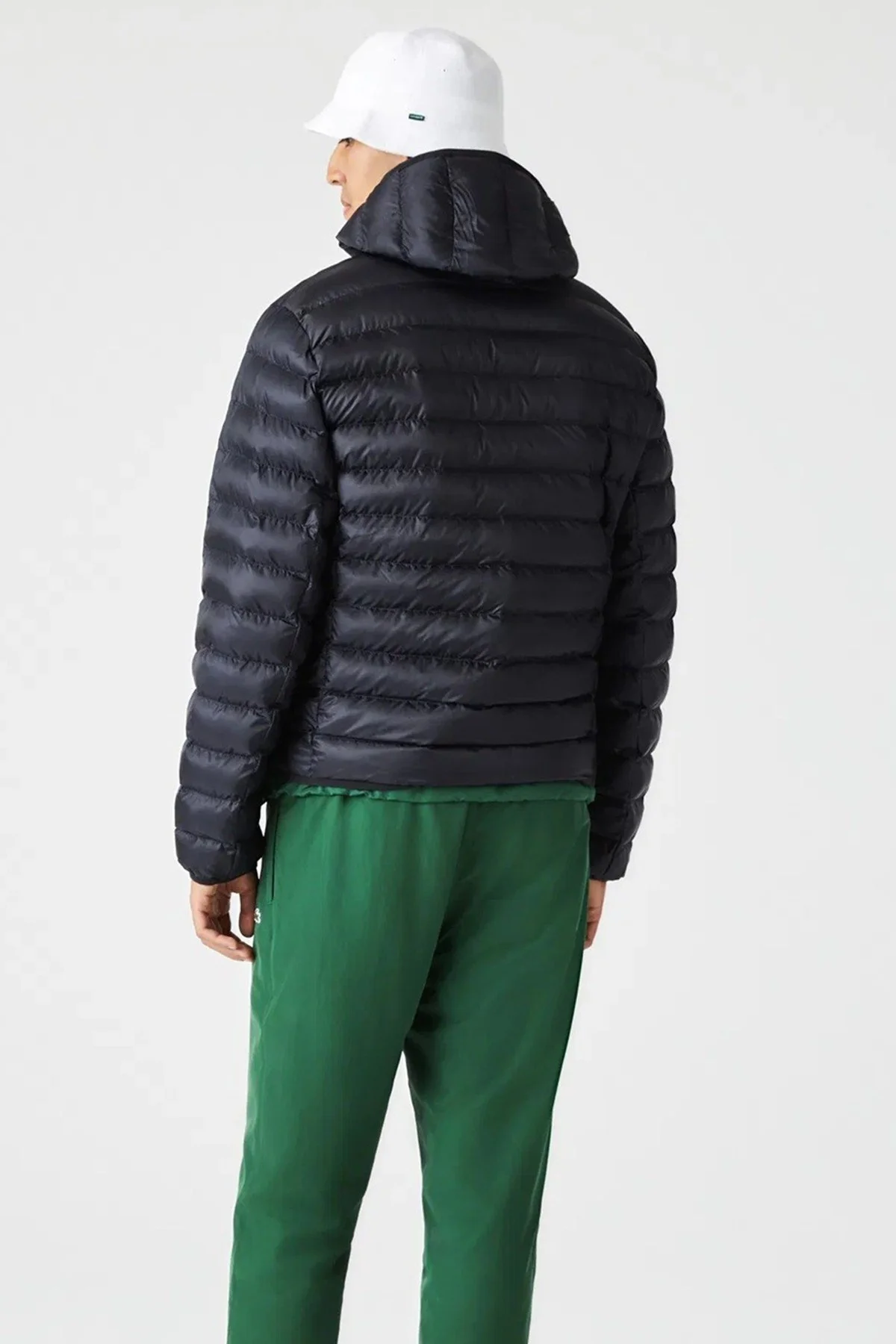 Lacoste Syntehic Fill Jacket Sabit Kapüşonlu Erkek Şişme Mont Lacivert Lacoste Syntehic Fill Jacket Sabit Kapüşonlu Erkek Şişme Mont Lacivert Fiyatı, Yorumları ve Özellikleri