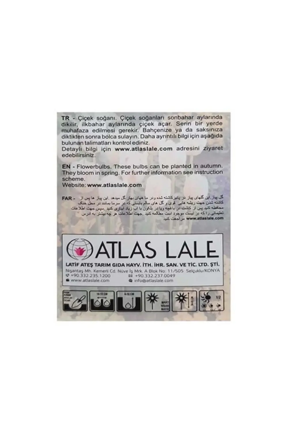 Lale Soğanı Karışık Renkli (Toplam 40 Adet Lale Soğanı)