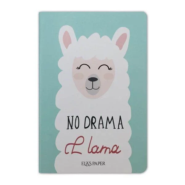 Lama Notebook Su Yeşili - Defter Fiyatı, Yorumları ve Özellikleri