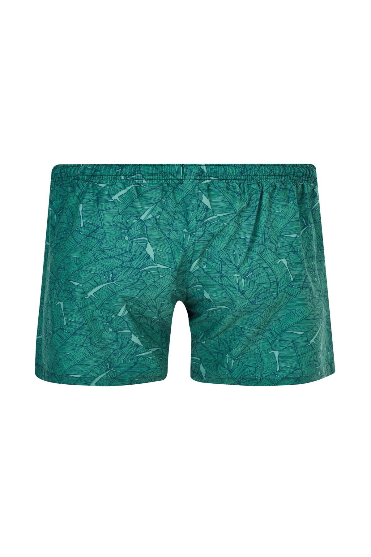 Adasea Lapieno Büyük Beden Erkek Kisa Deniz Şortu Yeşil