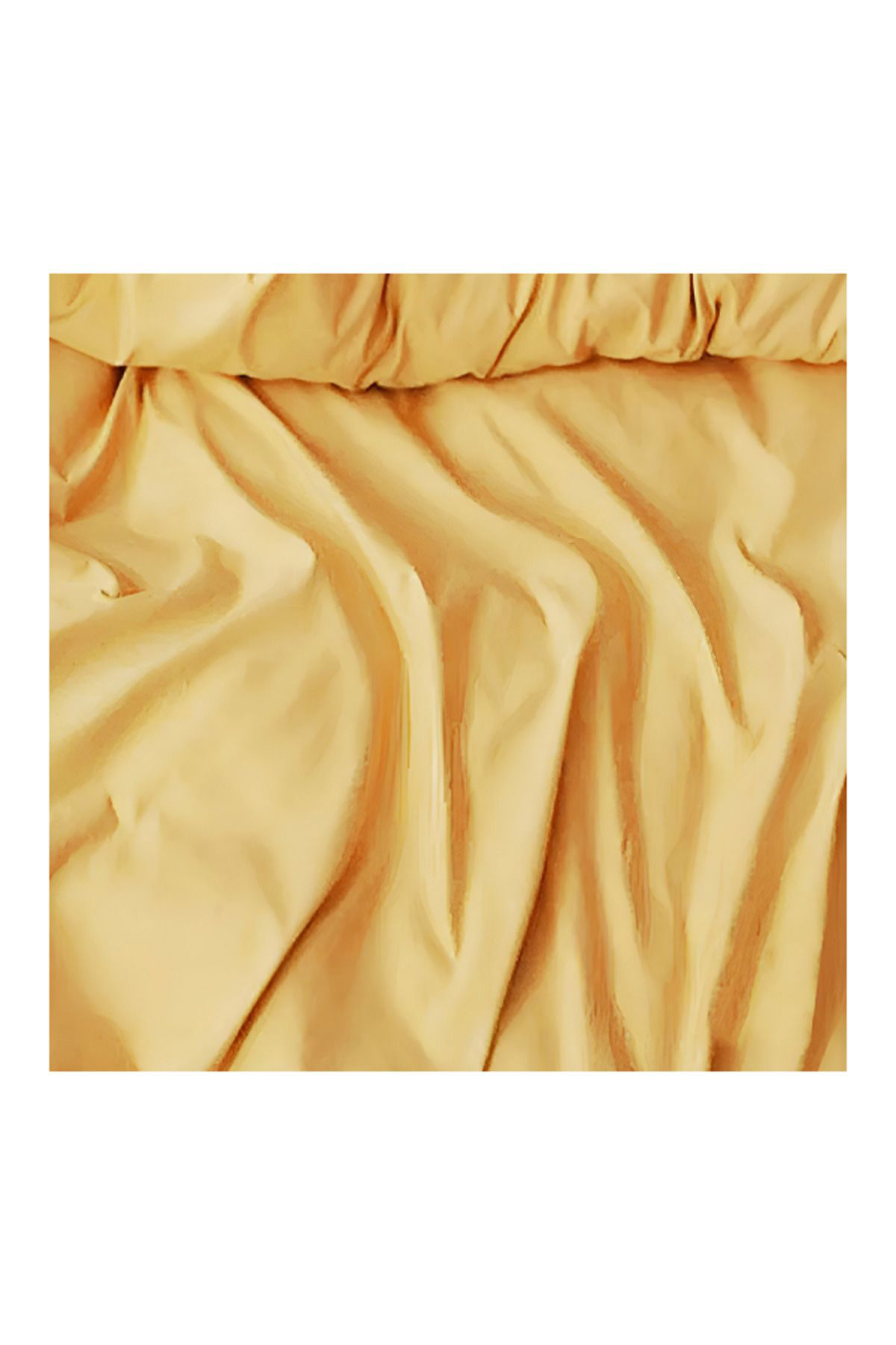 Beautiful Bird Lastikli Nevresim Takımı Tek Kişilik Set Sarı - Lila