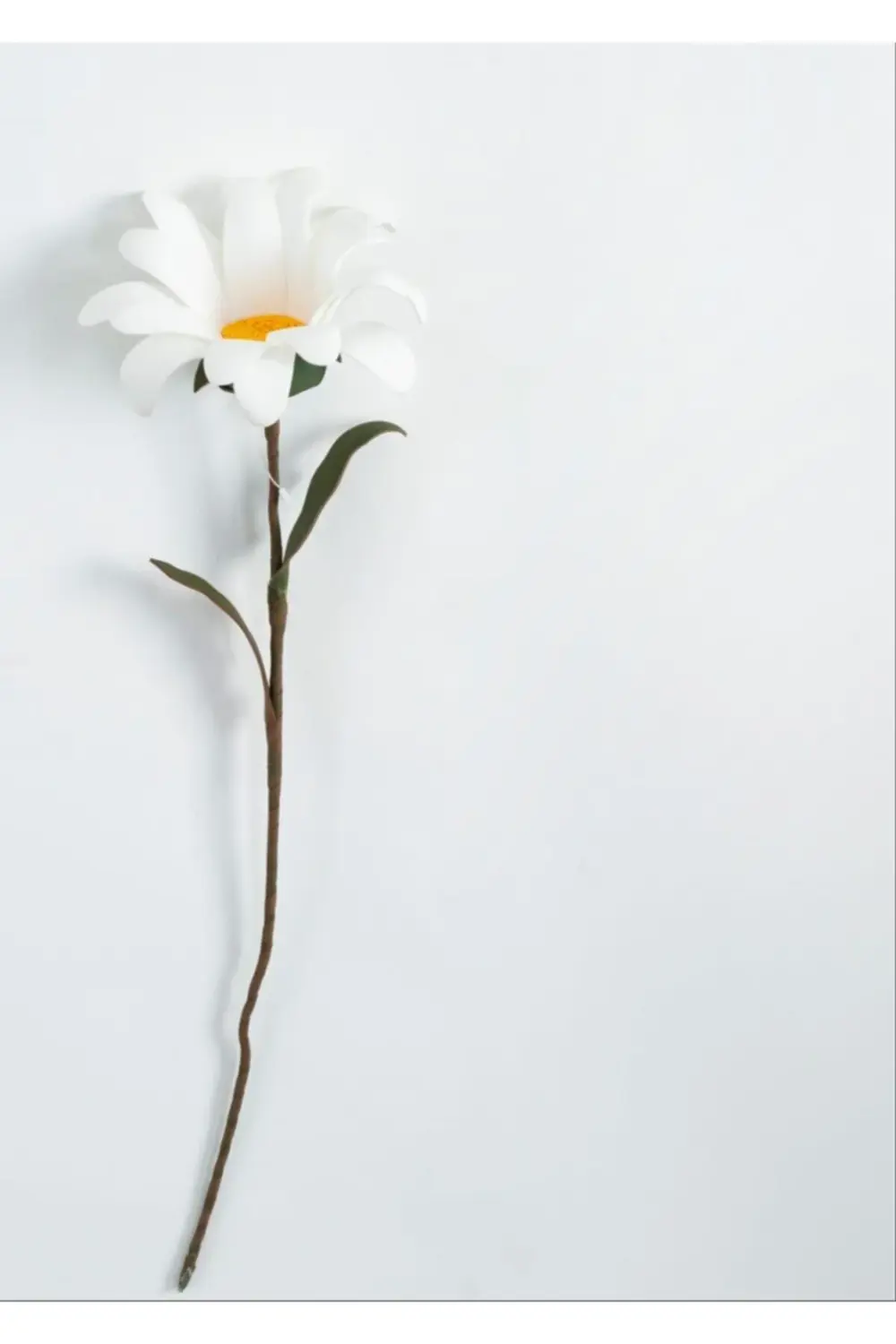 Latex Papatya Yapay Dal