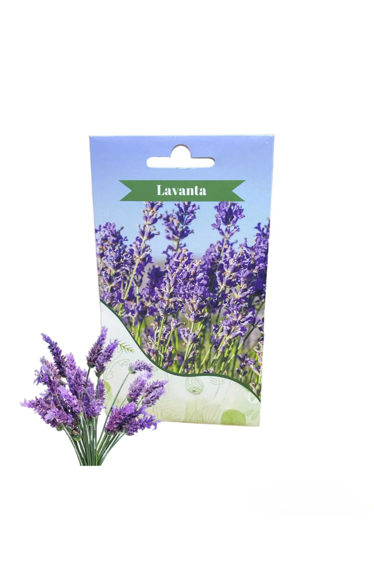 Lavanta Çiçeği Tohumu 50 Adet
