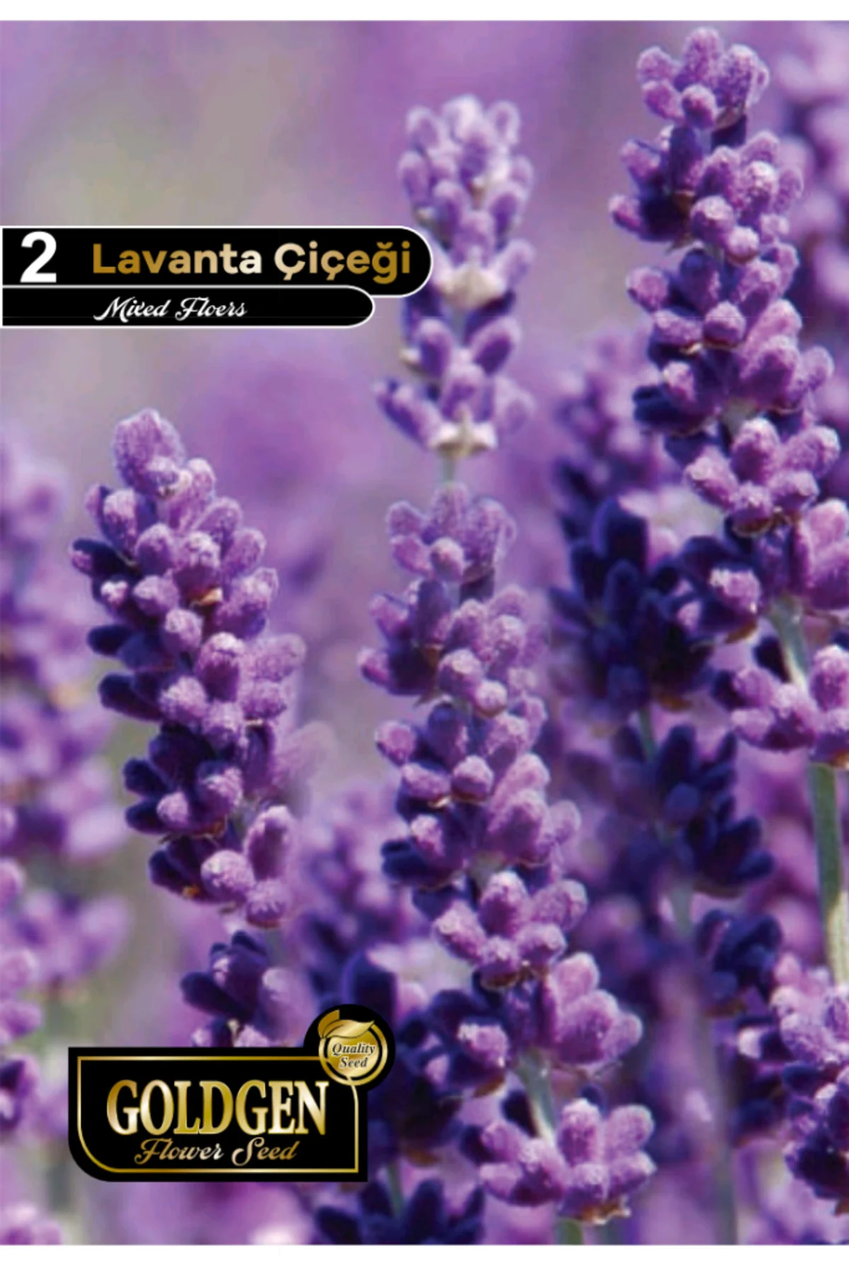 Lavanta Tohumu - Görsel 2