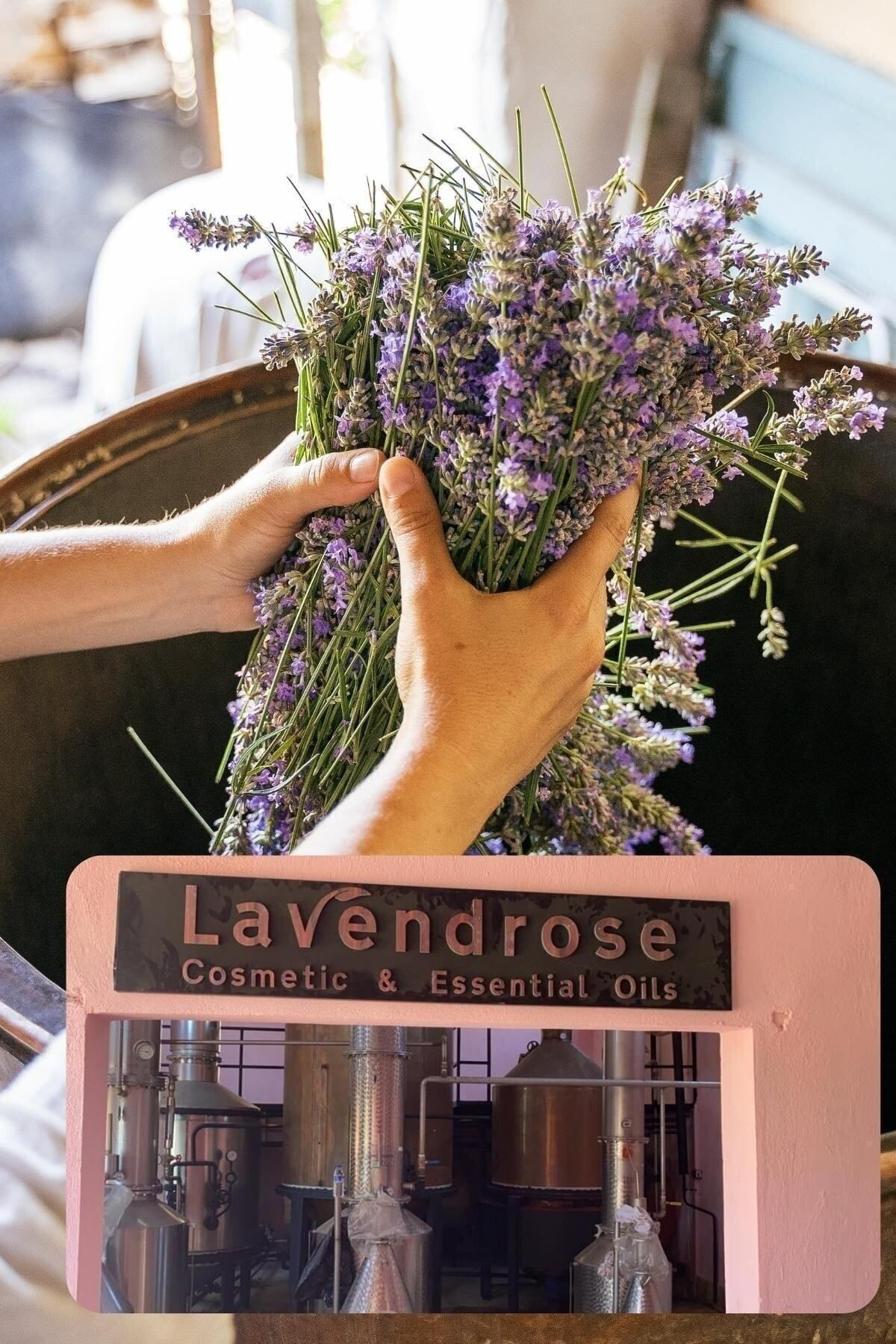 Lavanta Yağı %100 Saf - Bitkisel Aromaterapi Lavanta Uyku Ve Stre